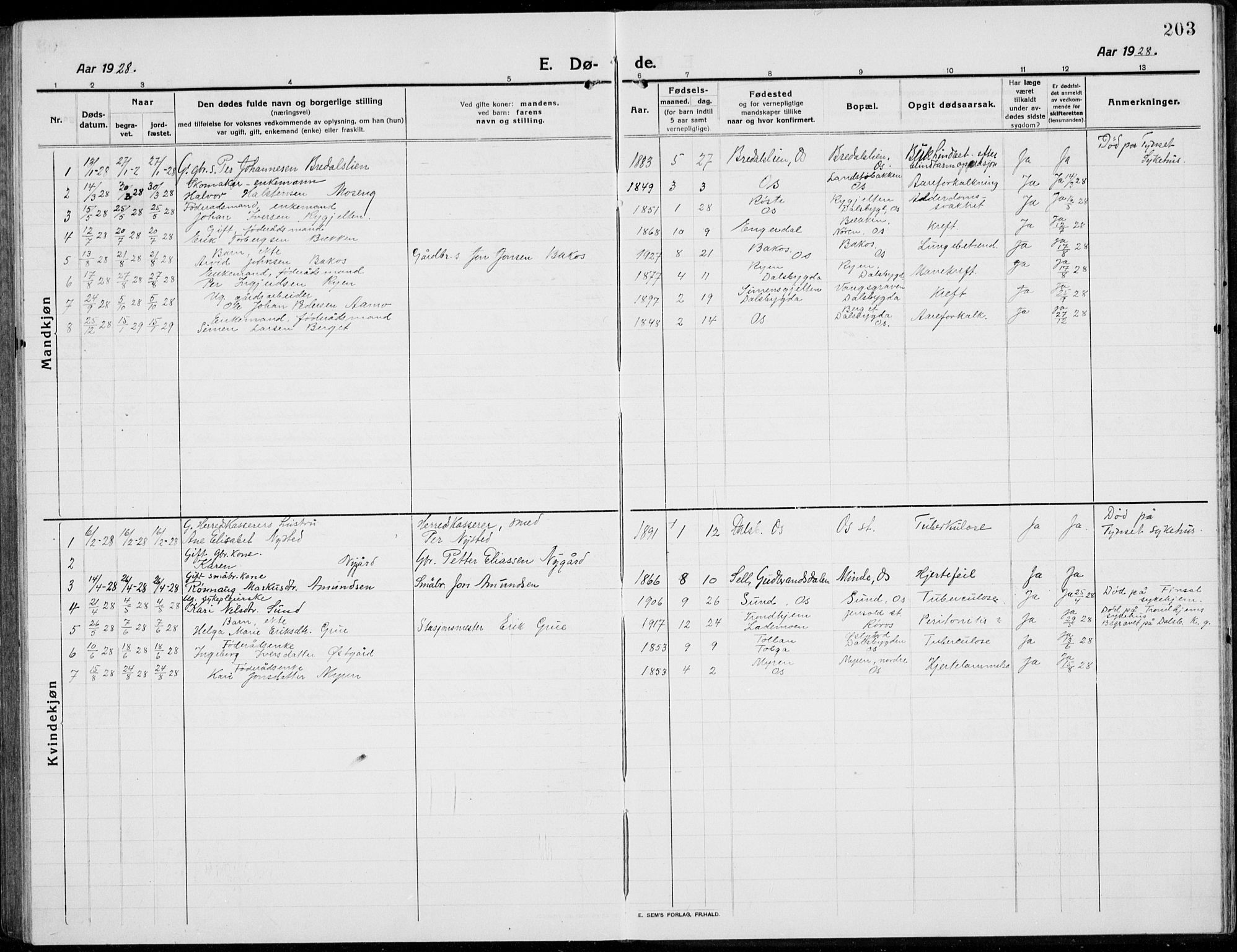 Tolga prestekontor, SAH/PREST-062/L/L0014: Parish register (copy) no. 14, 1913-1936, p. 203