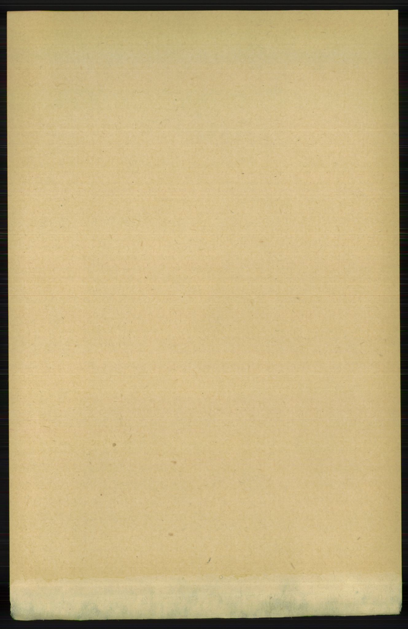 RA, 1891 census for 1129 Forsand, 1891, p. 326