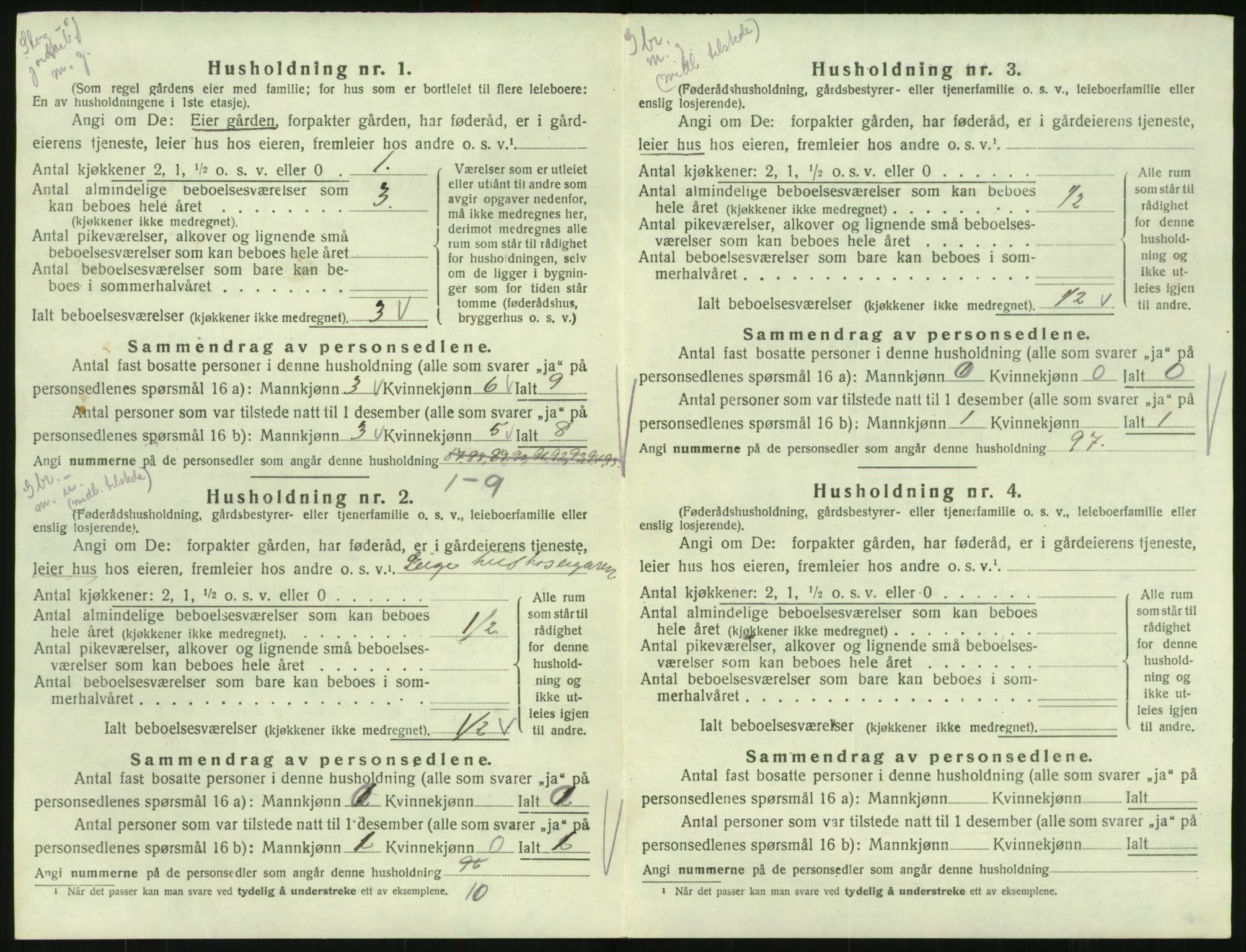 SAK, 1920 census for Hornnes, 1920, p. 238