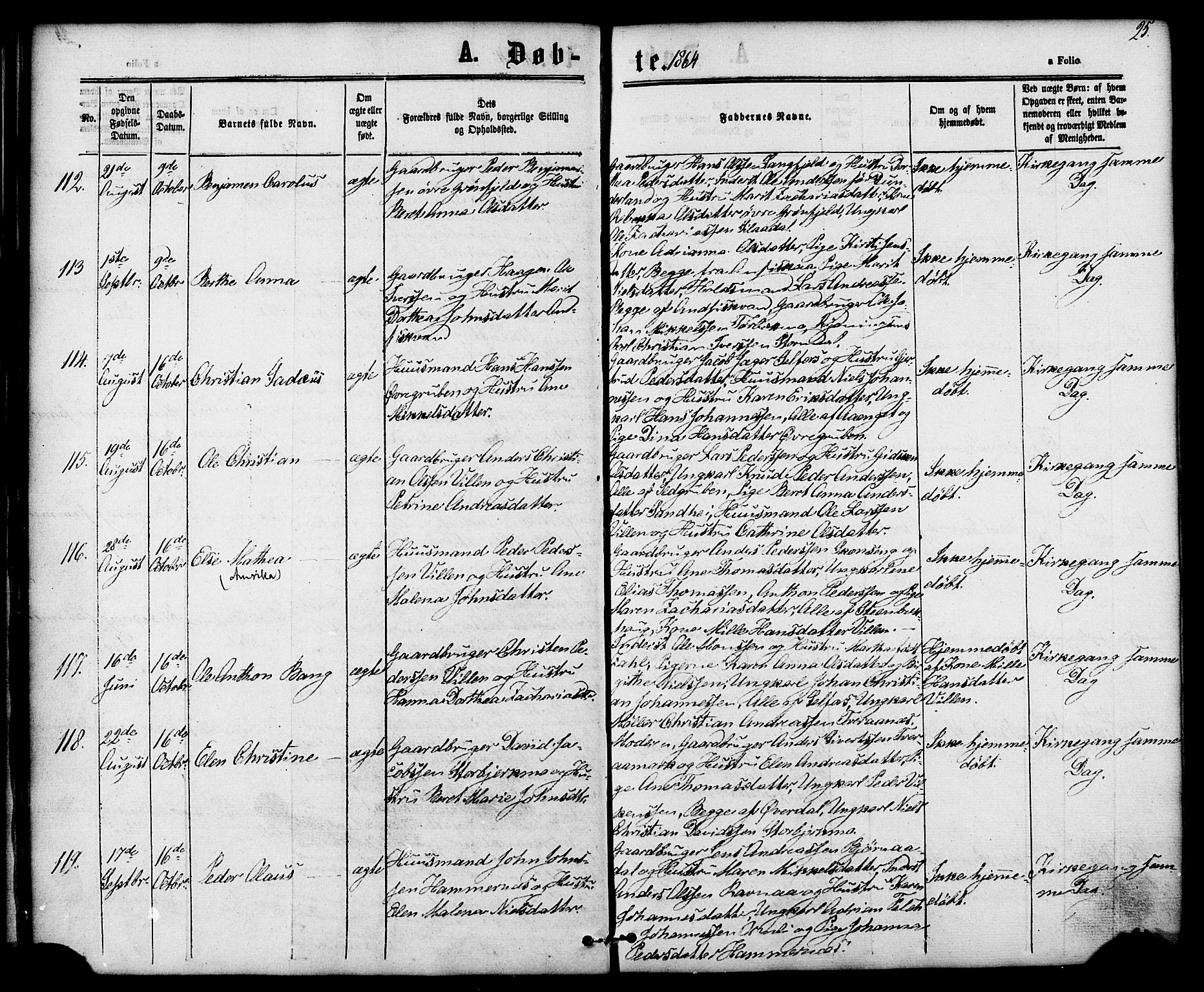 Ministerialprotokoller, klokkerbøker og fødselsregistre - Nordland, SAT/A-1459/827/L0393: Parish register (official) no. 827A05, 1863-1883, p. 25
