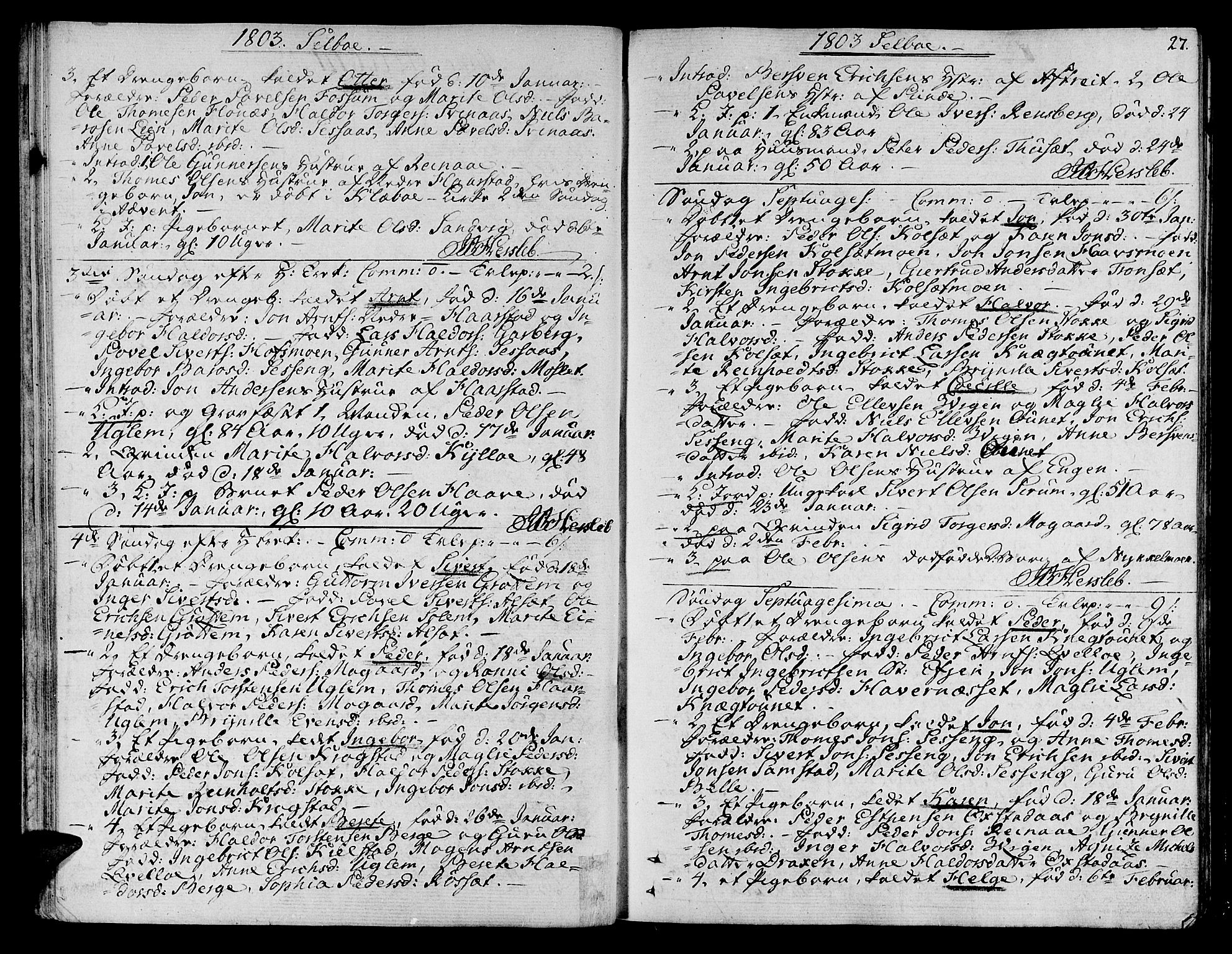 Ministerialprotokoller, klokkerbøker og fødselsregistre - Sør-Trøndelag, SAT/A-1456/695/L1140: Parish register (official) no. 695A03, 1801-1815, p. 27