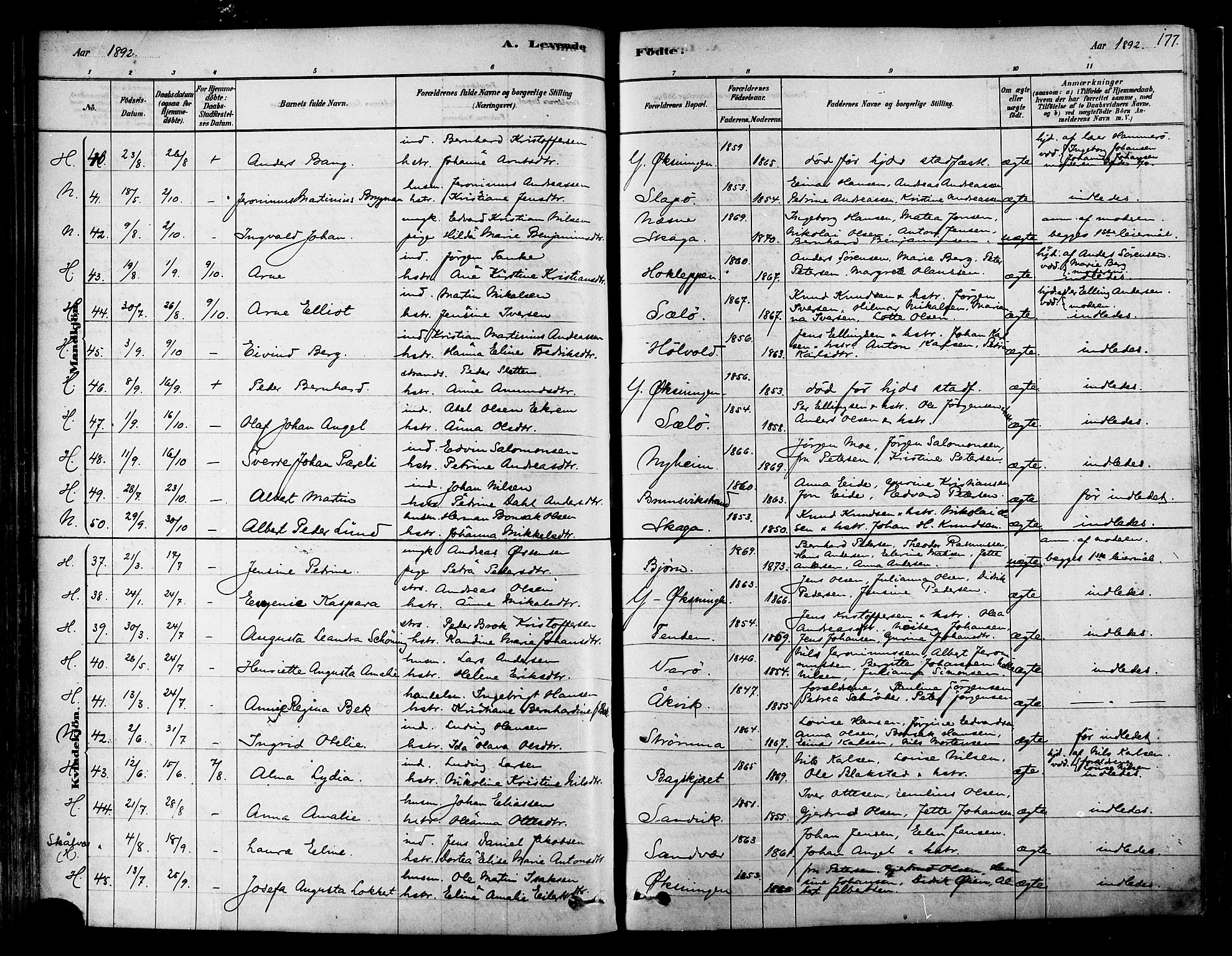 Ministerialprotokoller, klokkerbøker og fødselsregistre - Nordland, SAT/A-1459/834/L0507: Parish register (official) no. 834A05, 1878-1892, p. 177