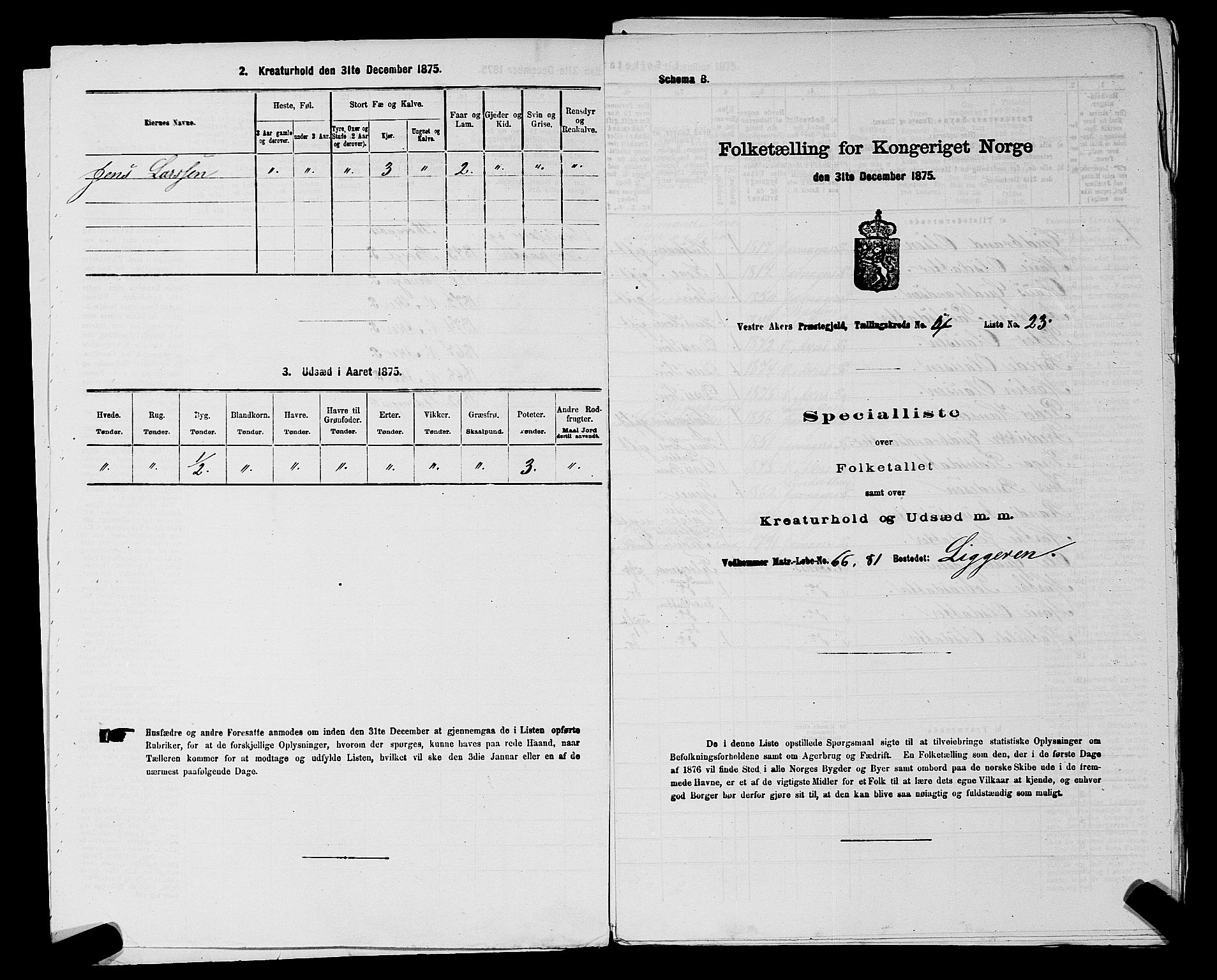 RA, 1875 census for 0218aP Vestre Aker, 1875, p. 814