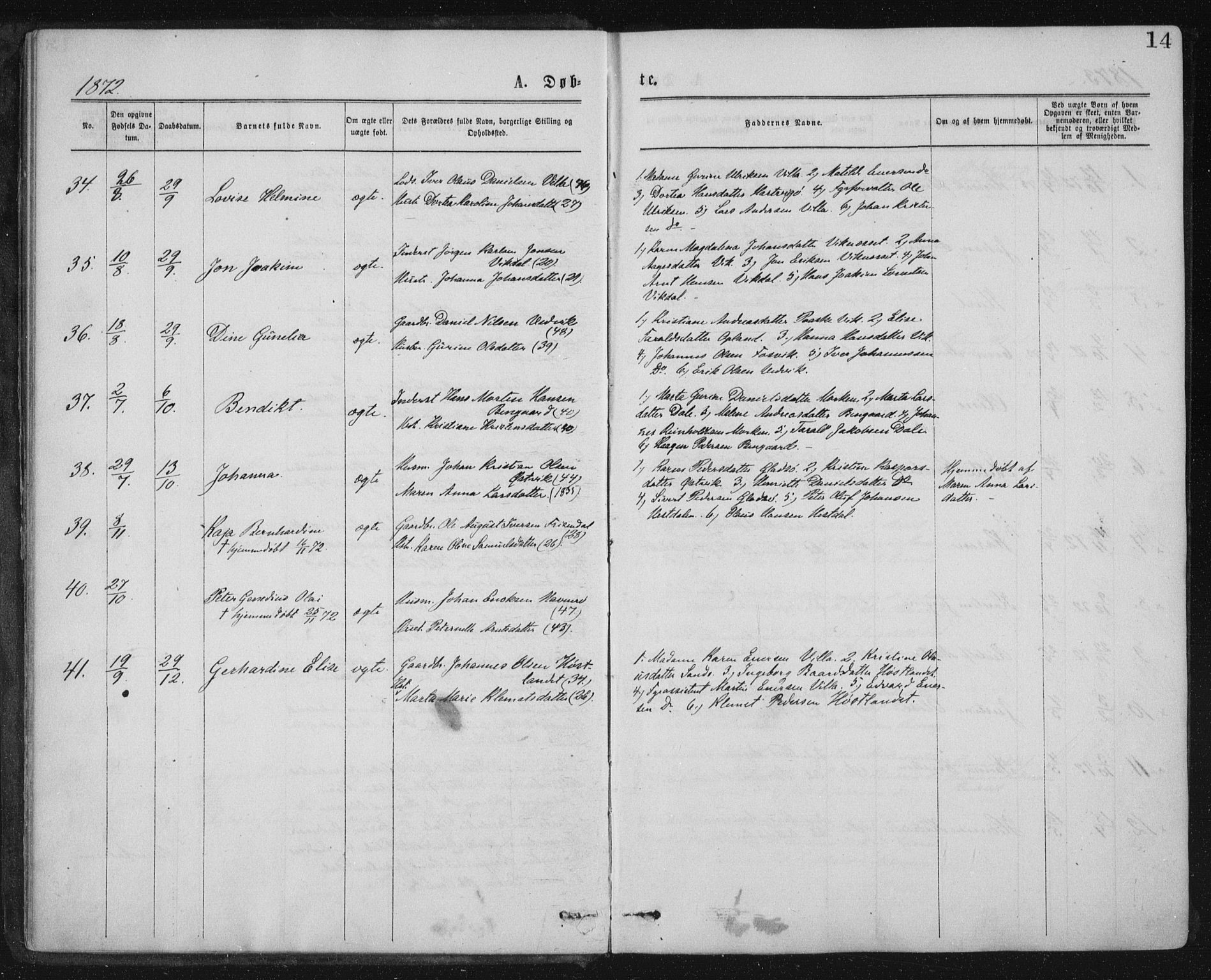 Ministerialprotokoller, klokkerbøker og fødselsregistre - Nord-Trøndelag, AV/SAT-A-1458/771/L0596: Parish register (official) no. 771A03, 1870-1884, p. 14