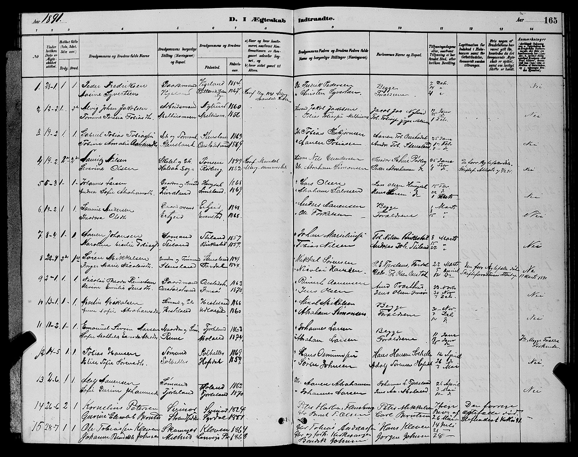 Sør-Audnedal sokneprestkontor, AV/SAK-1111-0039/F/Fb/Fbb/L0005: Parish register (copy) no. B 5, 1880-1892, p. 165