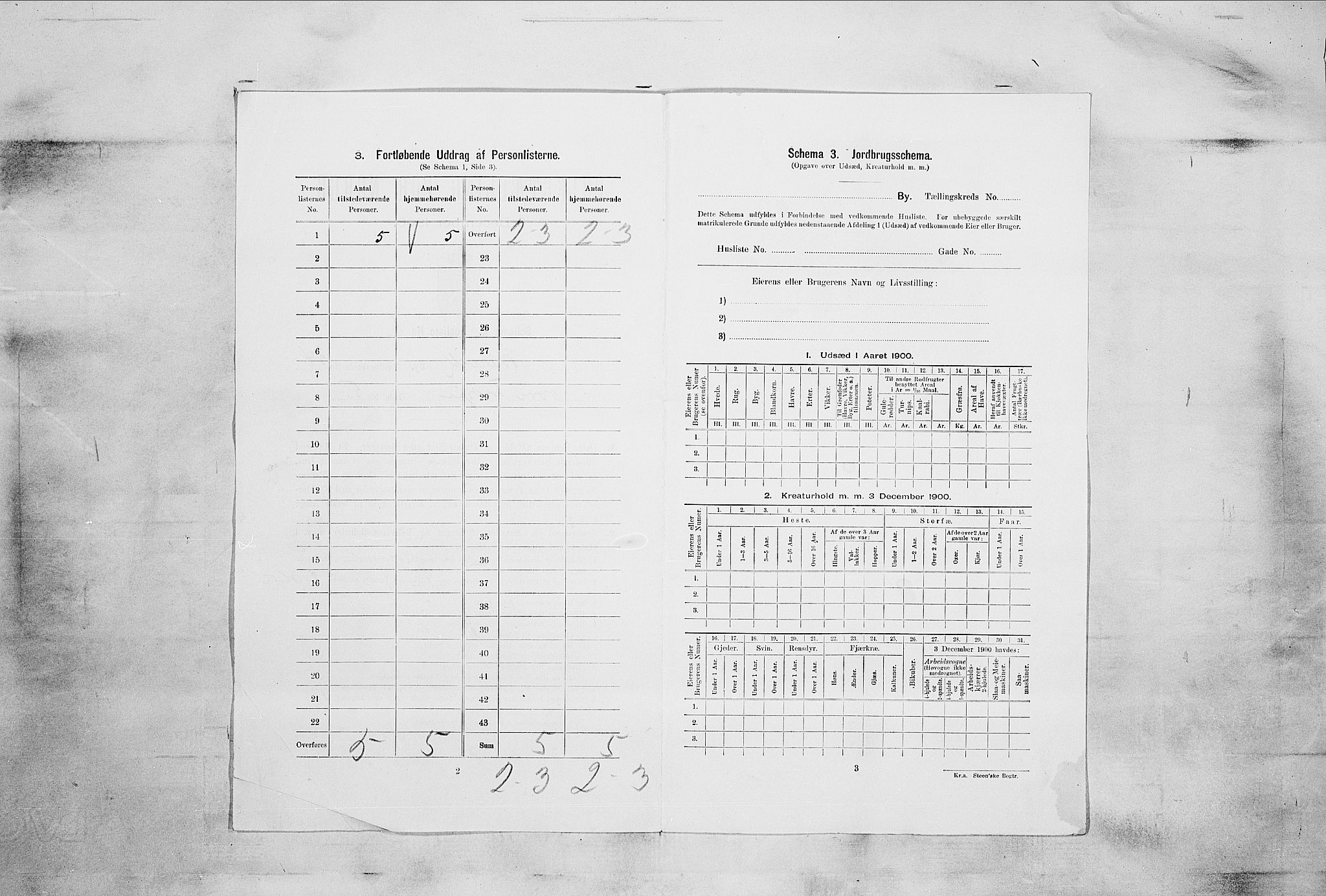 RA, 1900 census for Larvik, 1900, p. 4018