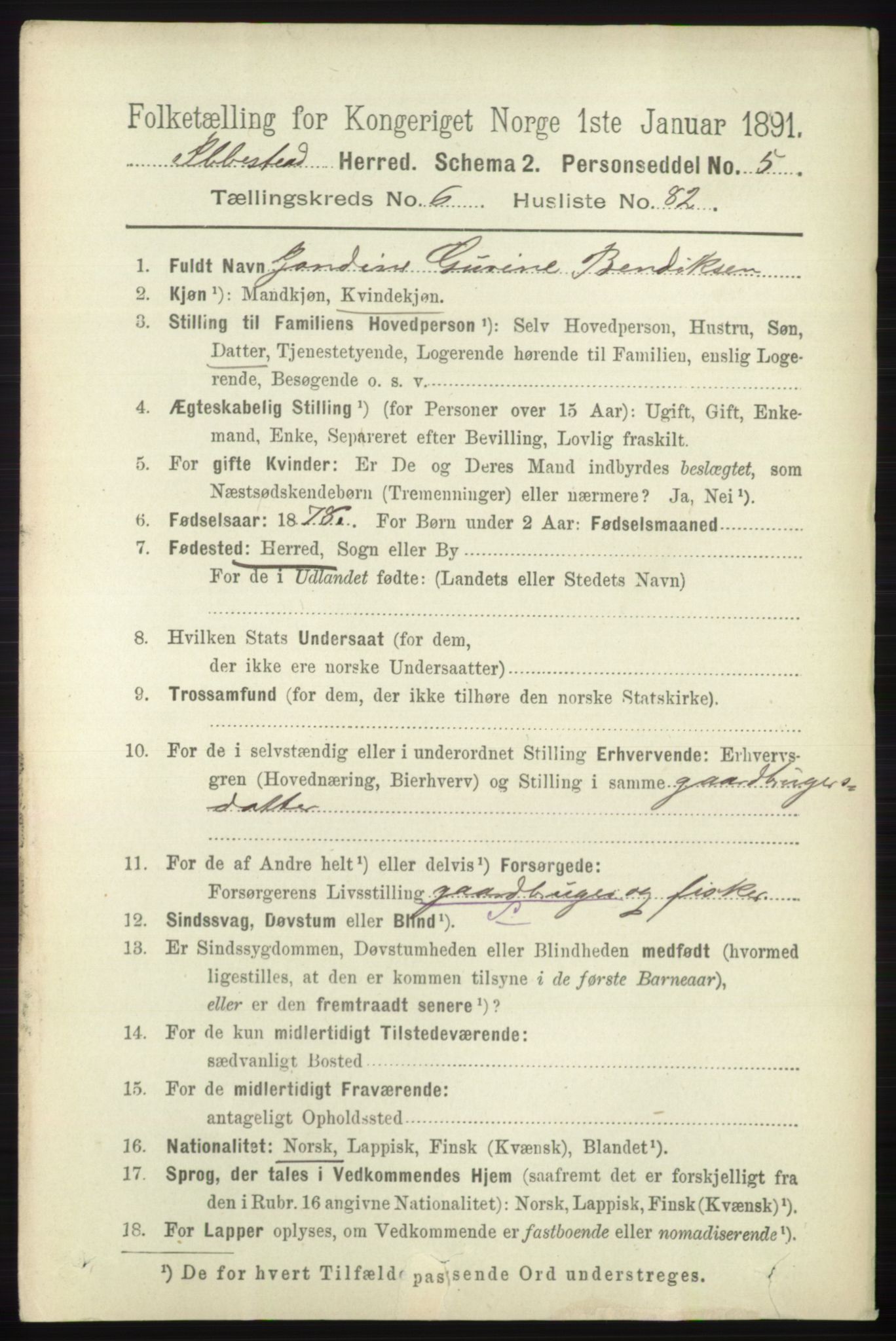 RA, 1891 census for 1917 Ibestad, 1891, p. 4045