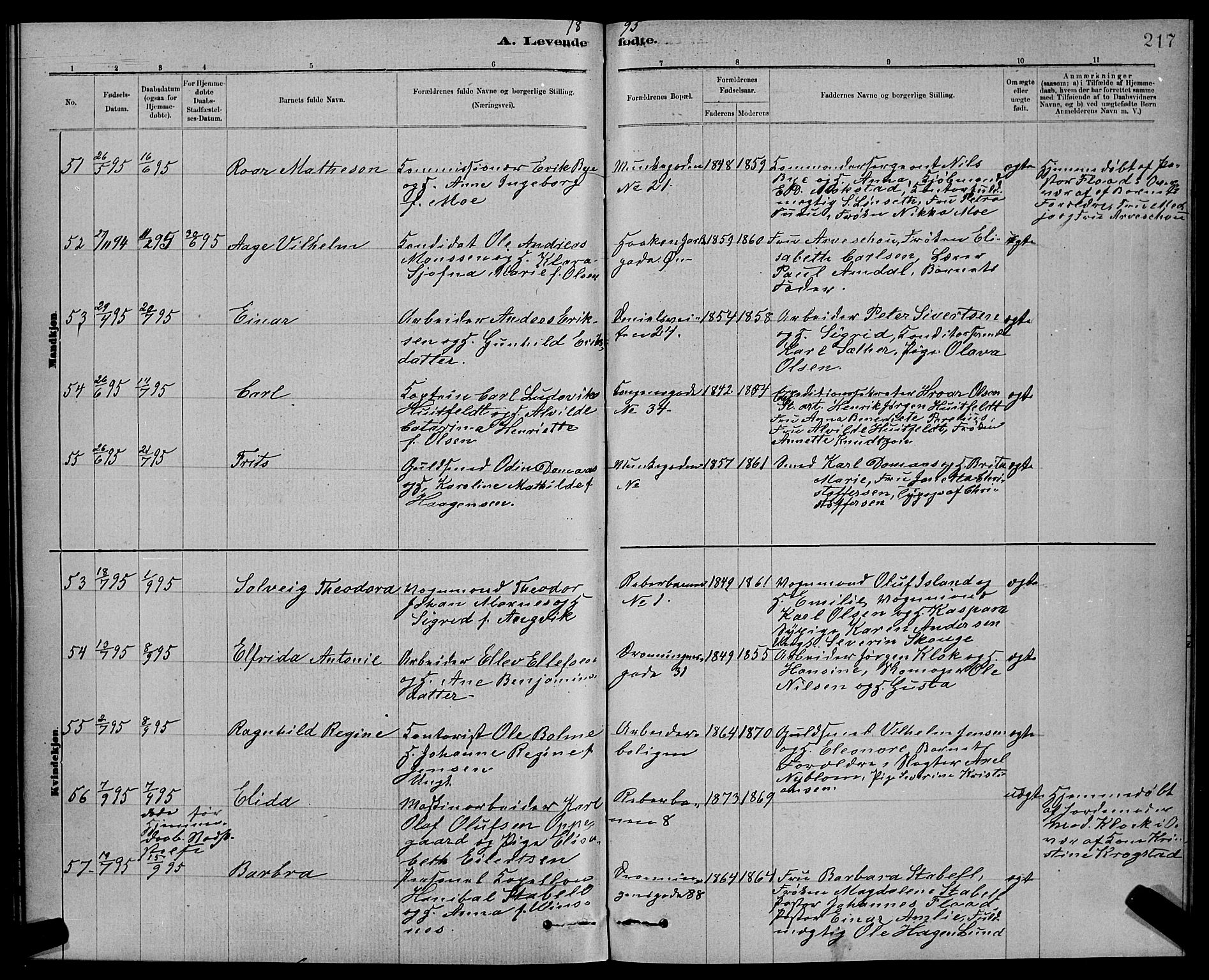 Ministerialprotokoller, klokkerbøker og fødselsregistre - Sør-Trøndelag, AV/SAT-A-1456/601/L0092: Parish register (copy) no. 601C10, 1884-1897, p. 217