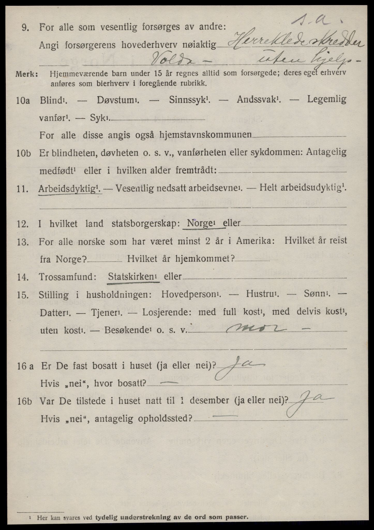 SAT, 1920 census for Volda, 1920, p. 3971