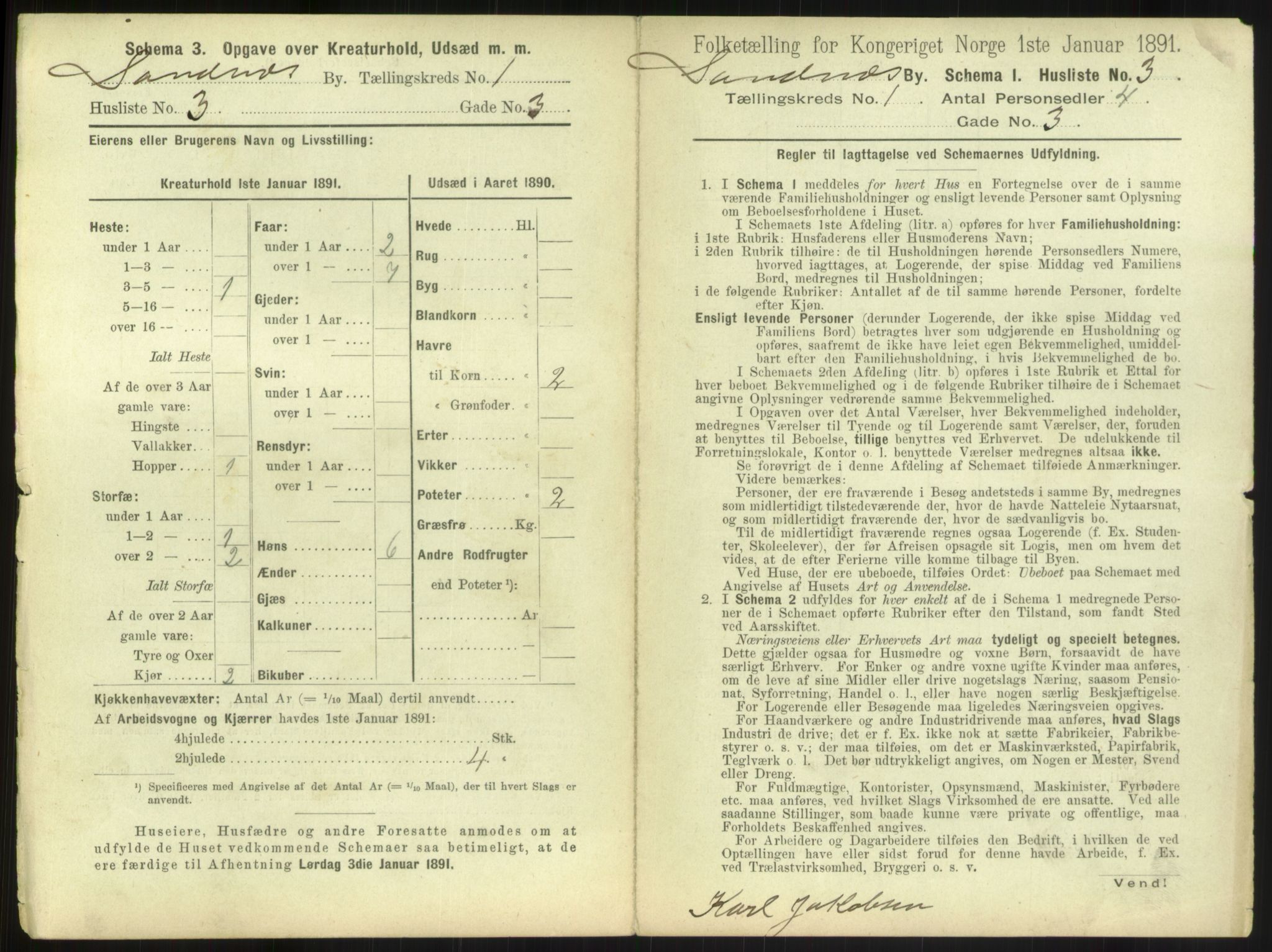 RA, 1891 census for 1102 Sandnes, 1891, p. 19