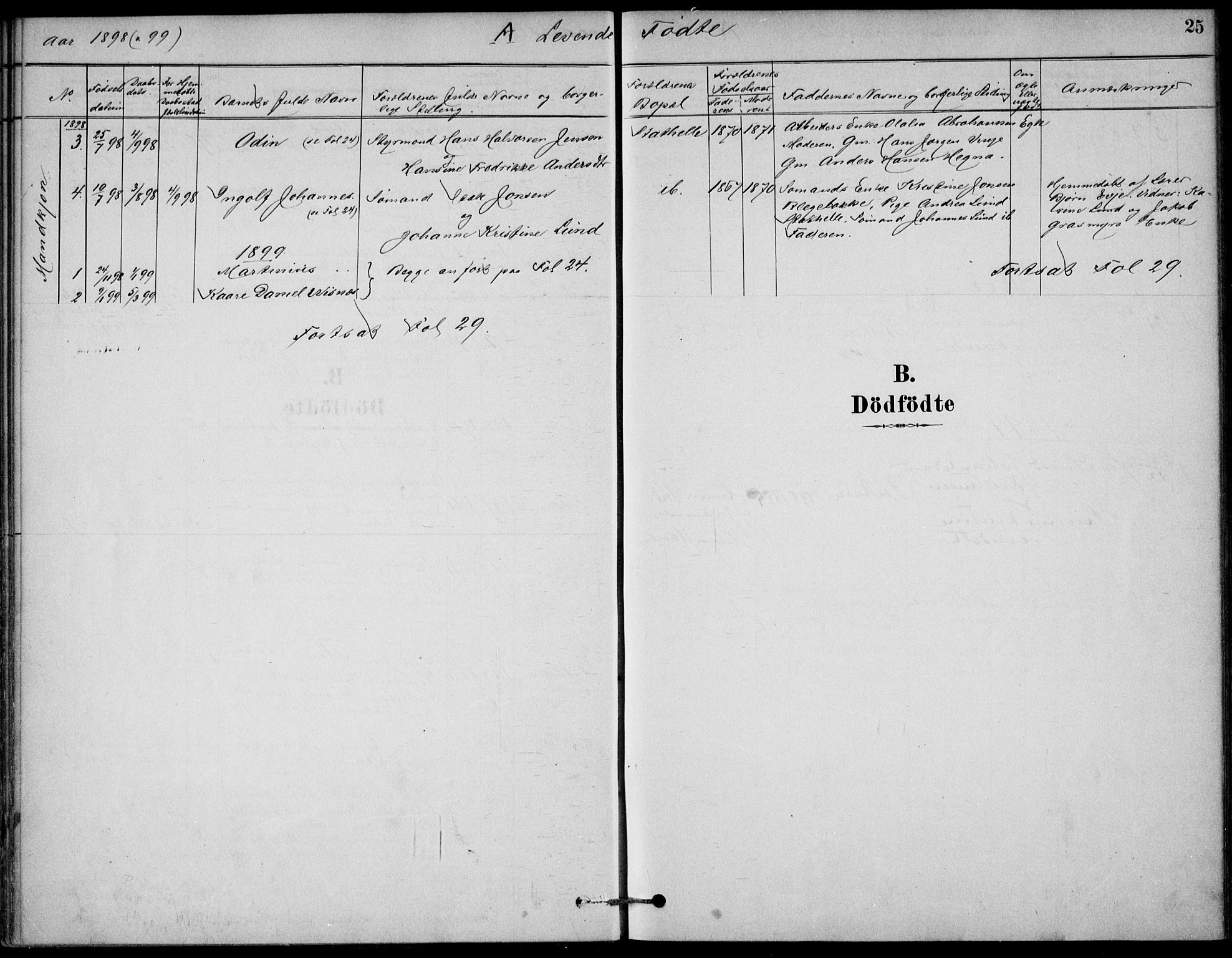 Bamble kirkebøker, AV/SAKO-A-253/G/Gb/L0001: Parish register (copy) no. II 1, 1878-1900, p. 25