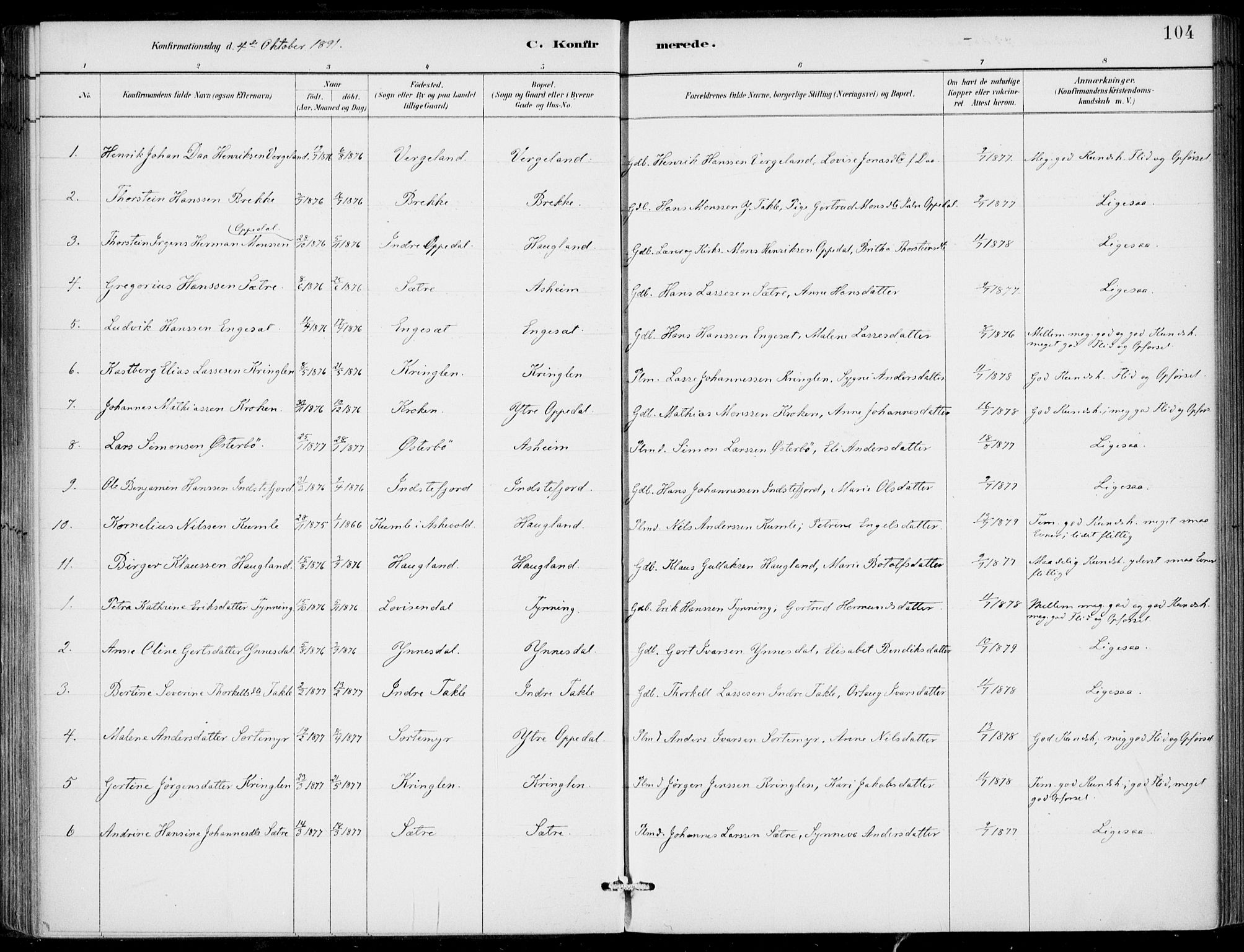 Gulen sokneprestembete, AV/SAB-A-80201/H/Haa/Haac/L0002: Parish register (official) no. C  2, 1882-1914, p. 104