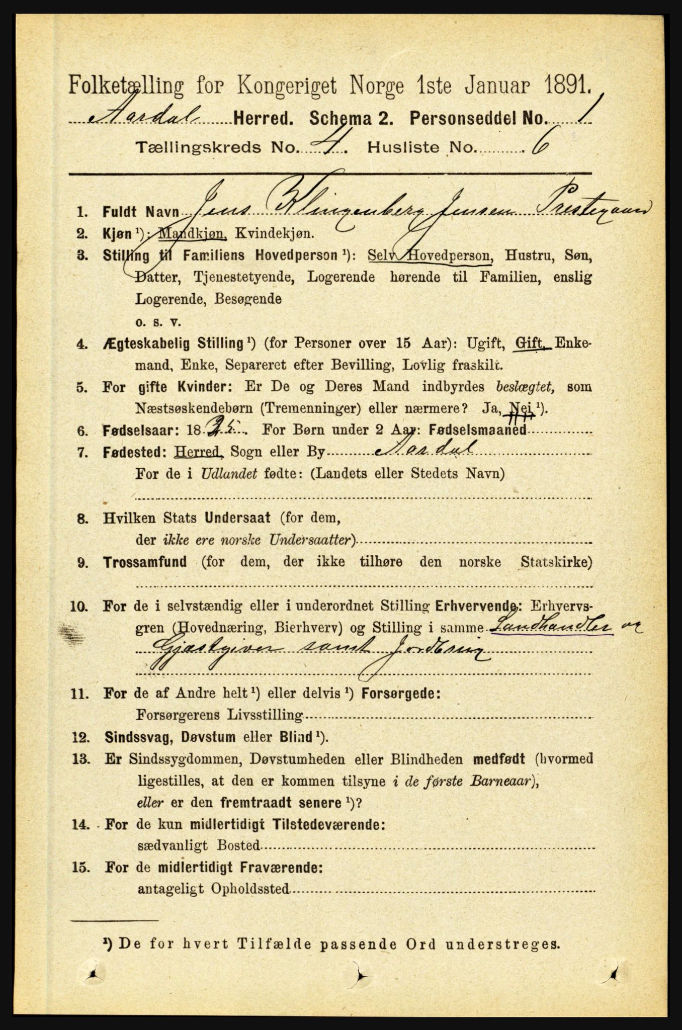 RA, 1891 census for 1424 Årdal, 1891, p. 674