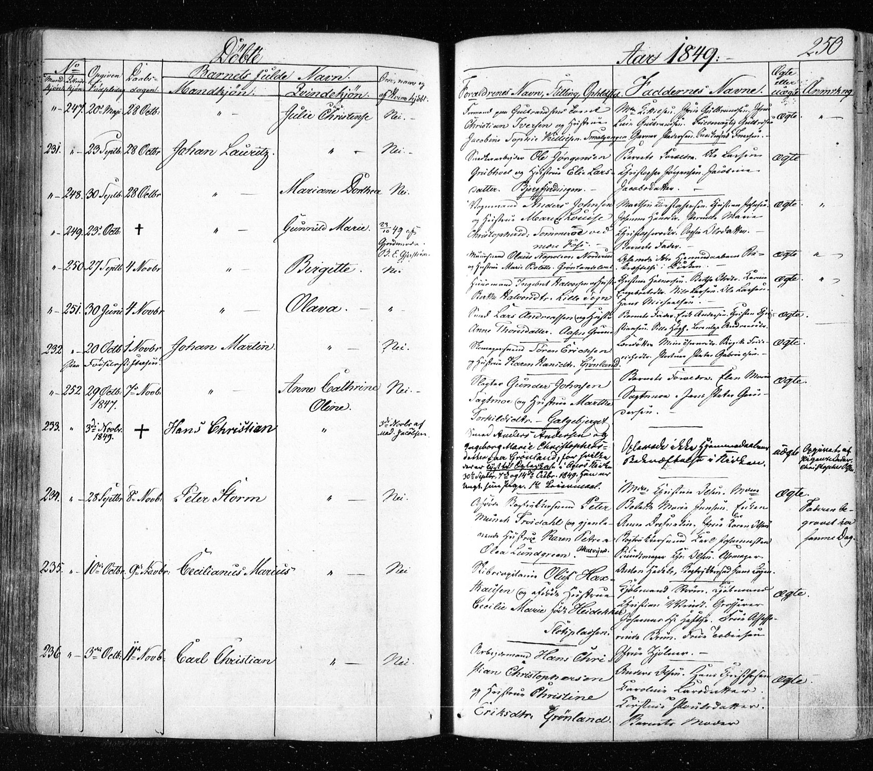 Aker prestekontor kirkebøker, AV/SAO-A-10861/F/L0019: Parish register (official) no. 19, 1842-1852, p. 250