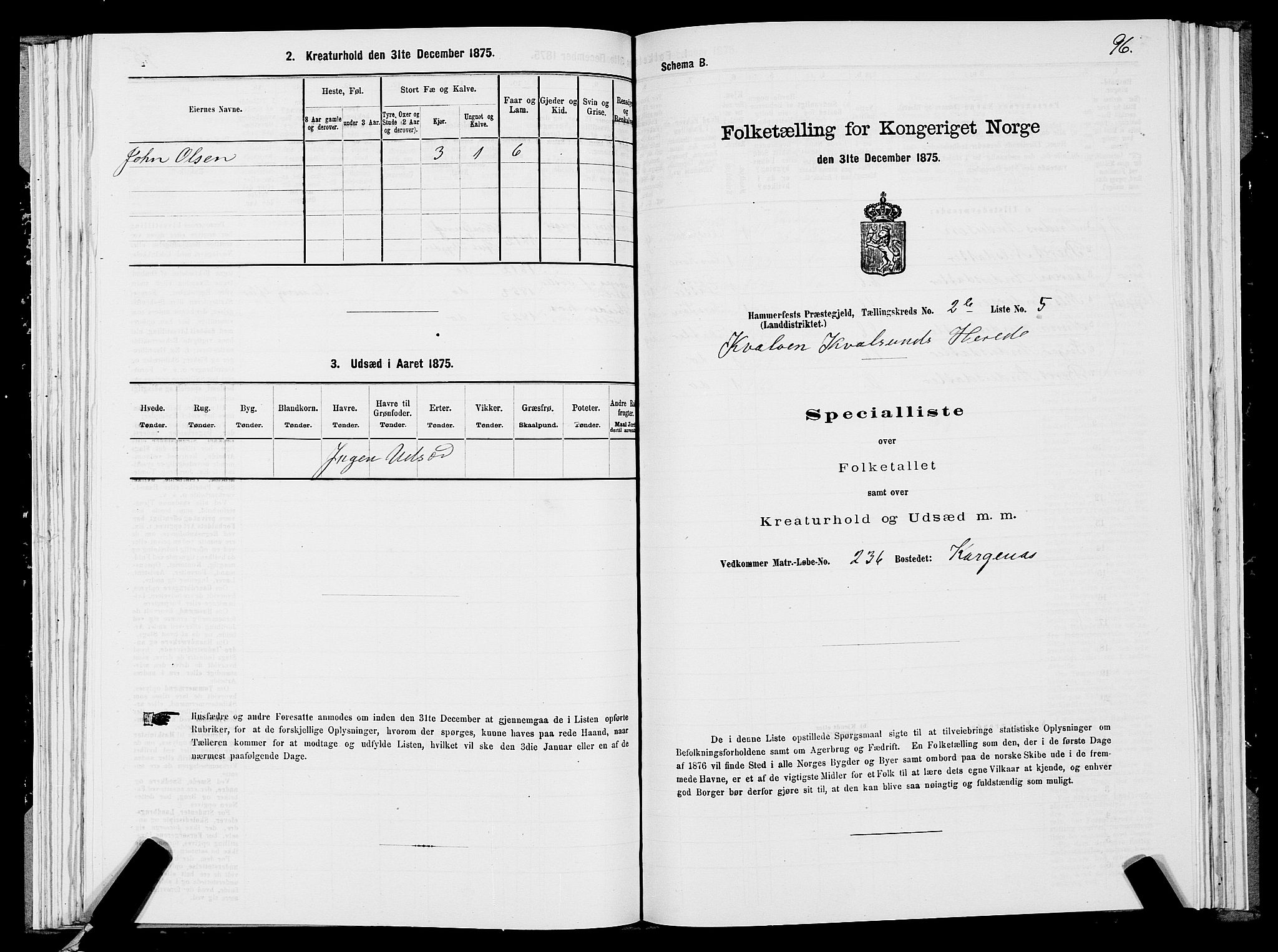 SATØ, 1875 census for 2016L Hammerfest/Hammerfest og Kvalsund, 1875, p. 2096