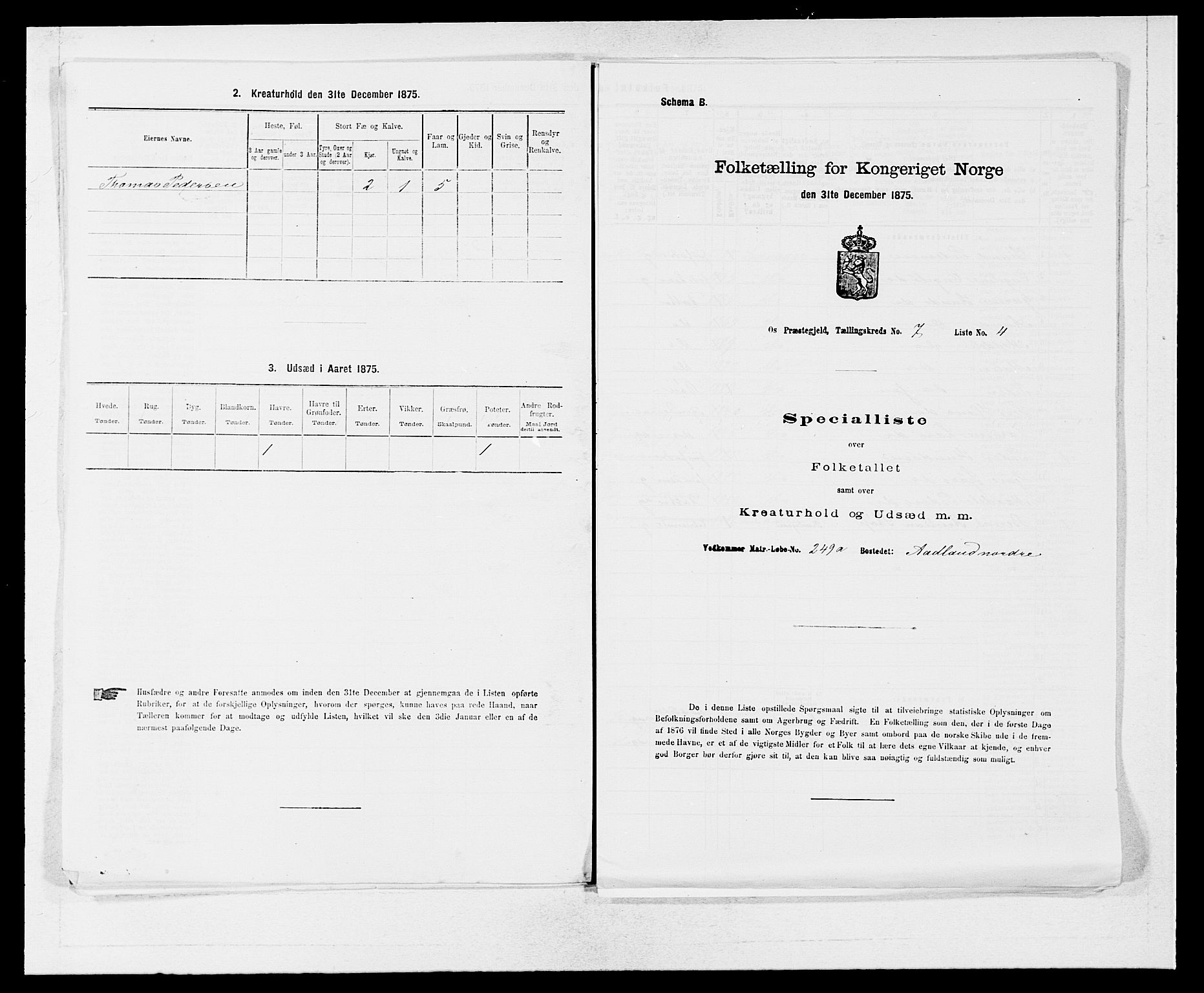 SAB, 1875 census for 1243P Os, 1875, p. 904