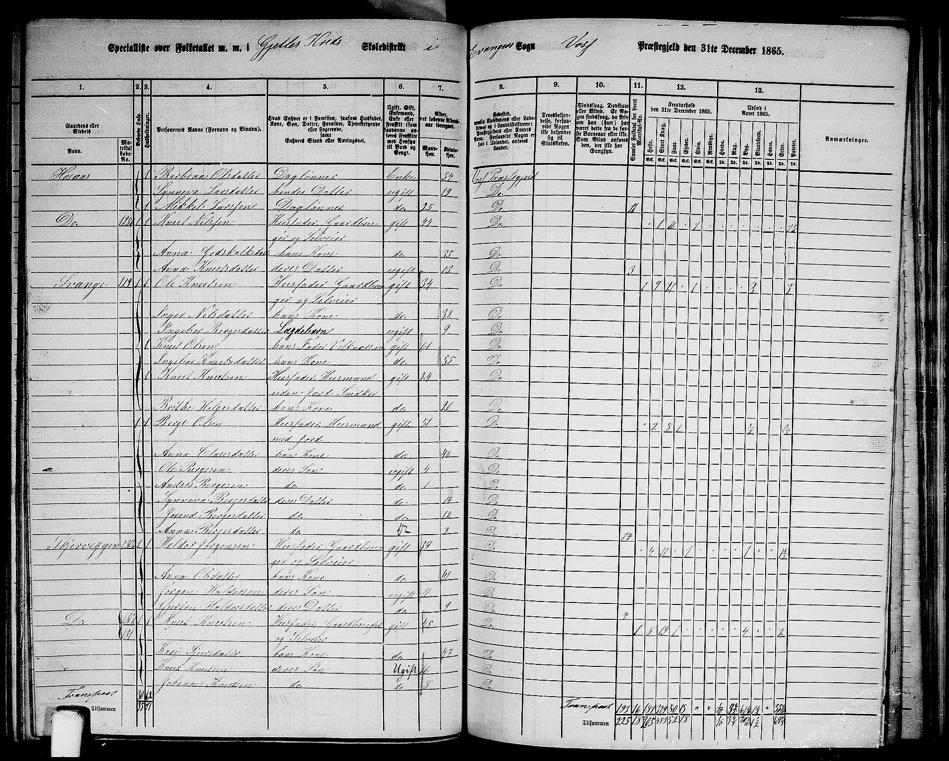 RA, 1865 census for Voss, 1865, p. 376
