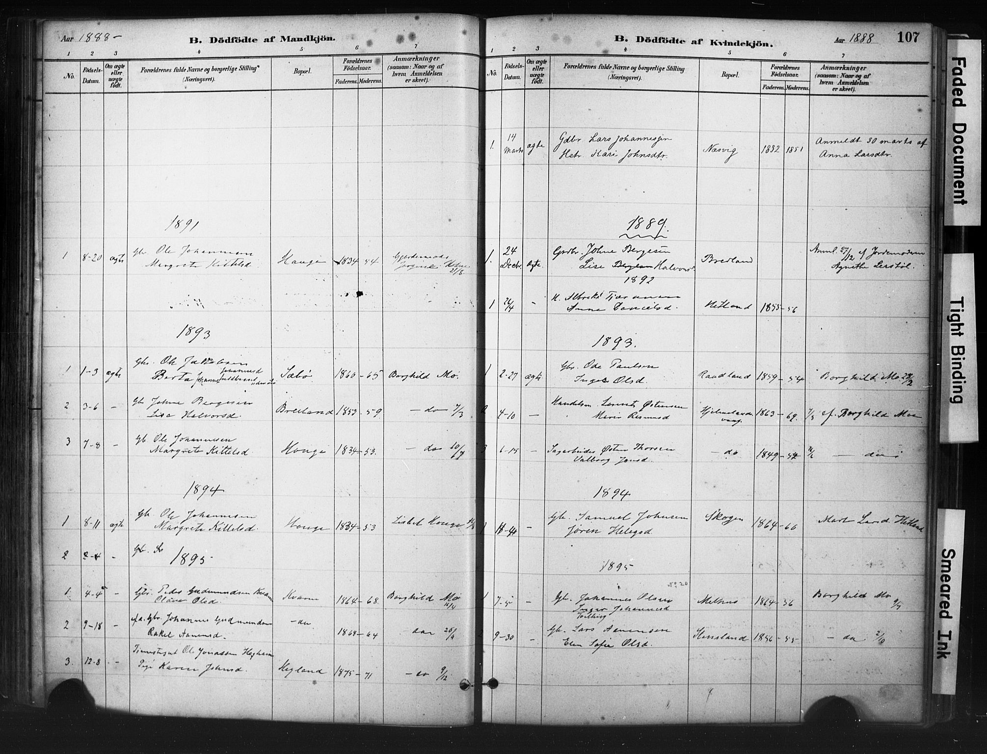 Hjelmeland sokneprestkontor, AV/SAST-A-101843/01/IV/L0014: Parish register (official) no. A 14, 1879-1900, p. 107