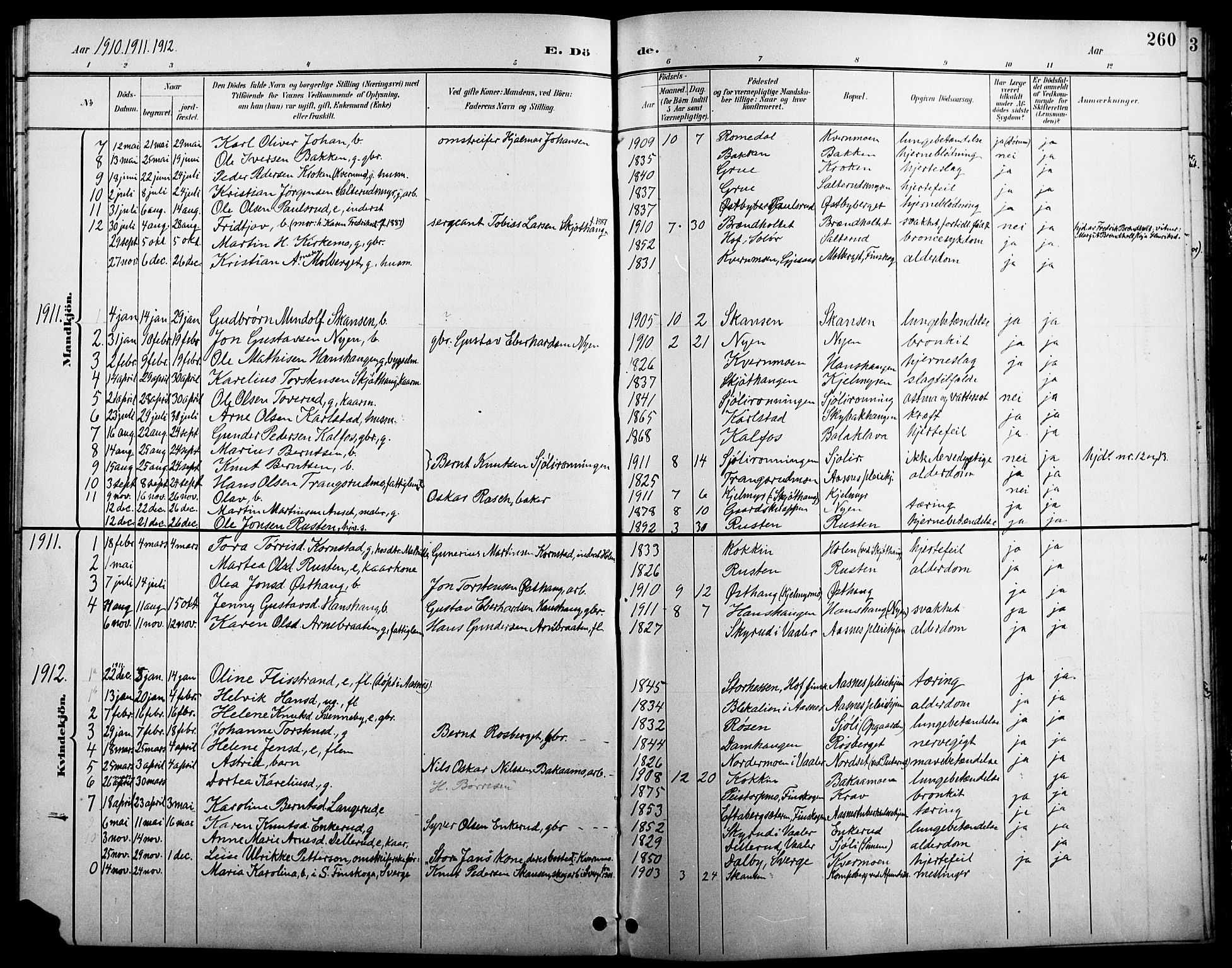 Åsnes prestekontor, SAH/PREST-042/H/Ha/Hab/L0005: Parish register (copy) no. 5, 1895-1920, p. 260