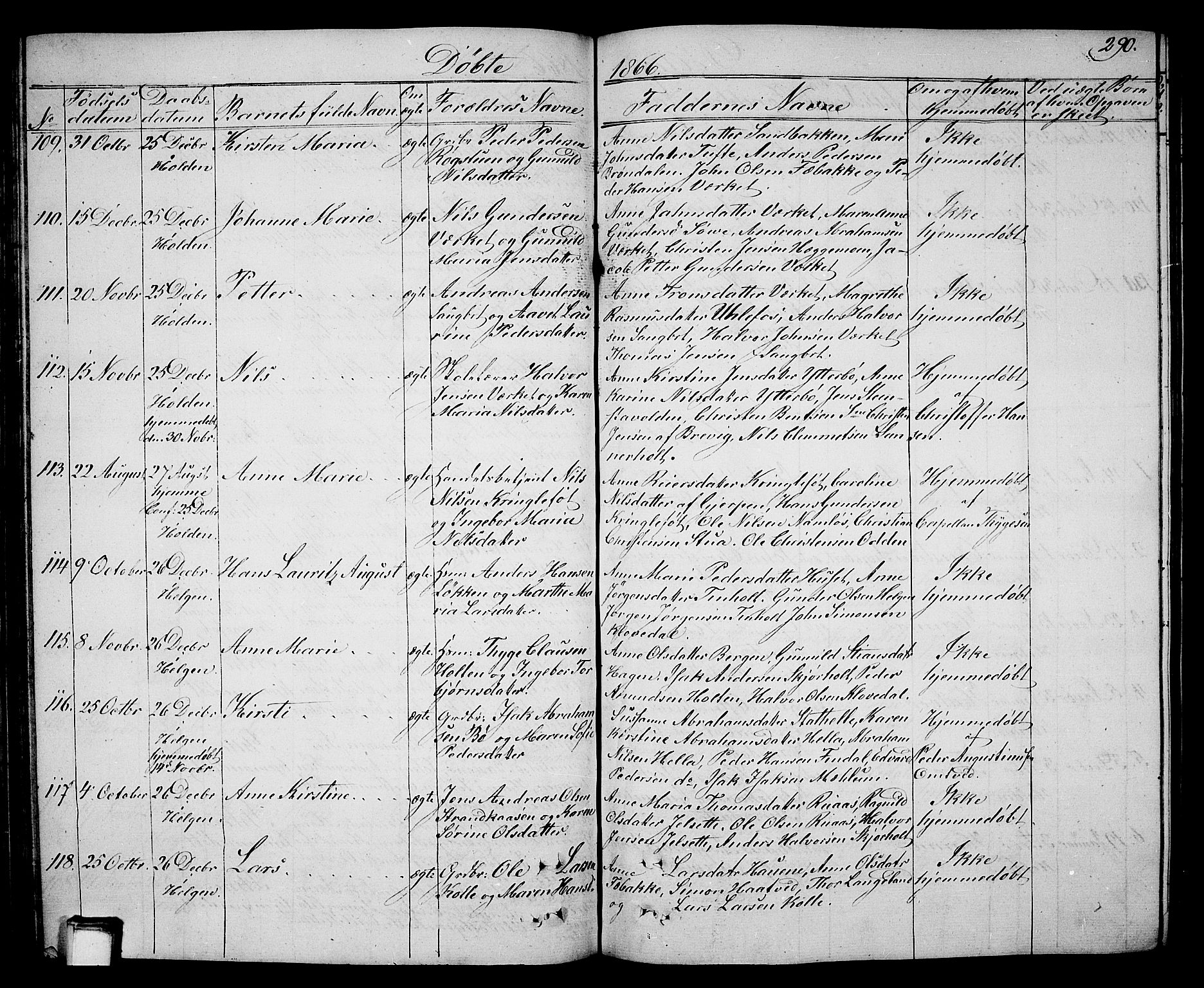 Holla kirkebøker, SAKO/A-272/G/Ga/L0003: Parish register (copy) no. I 3, 1849-1866, p. 290