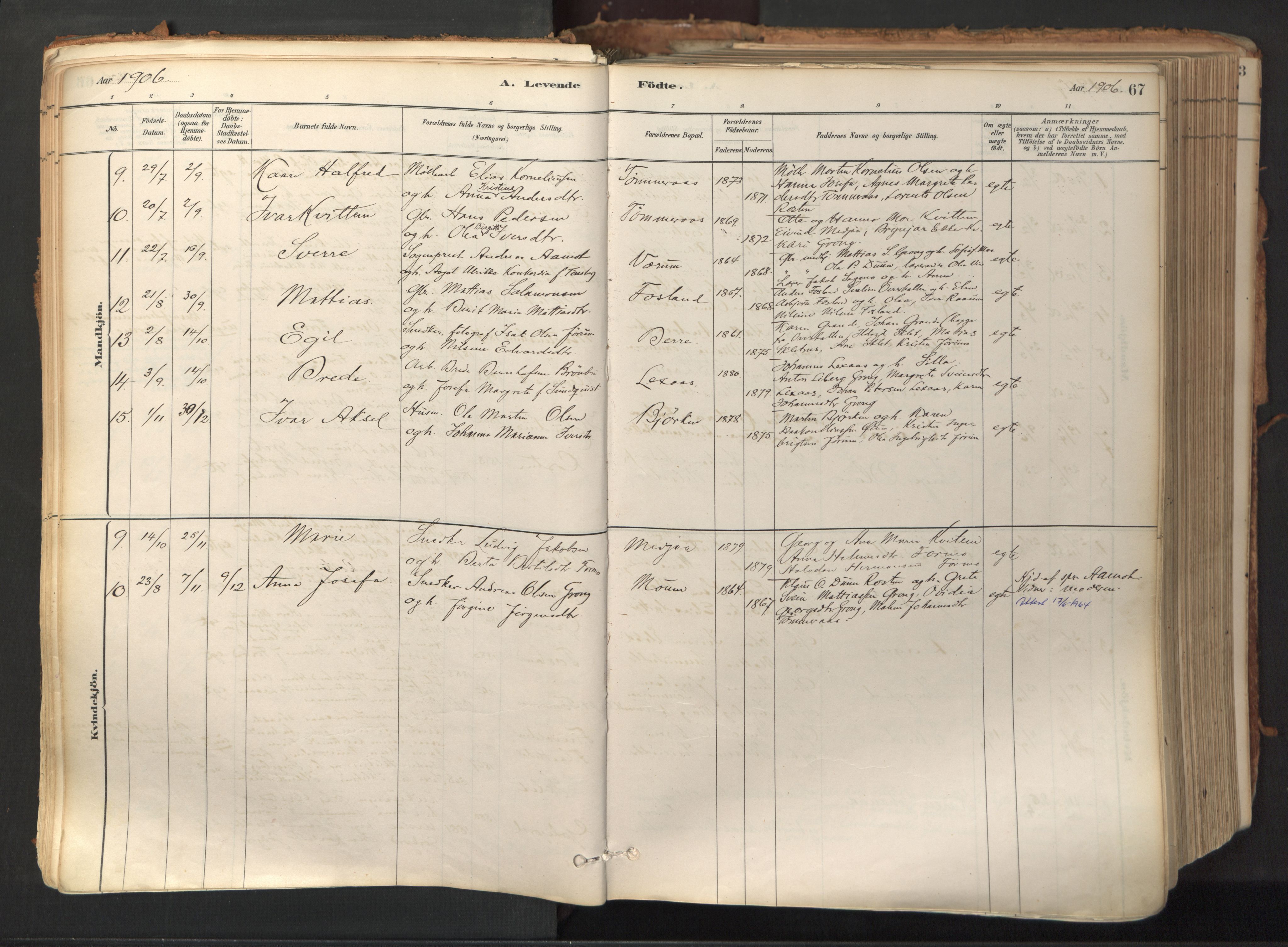 Ministerialprotokoller, klokkerbøker og fødselsregistre - Nord-Trøndelag, SAT/A-1458/758/L0519: Parish register (official) no. 758A04, 1880-1926, p. 67