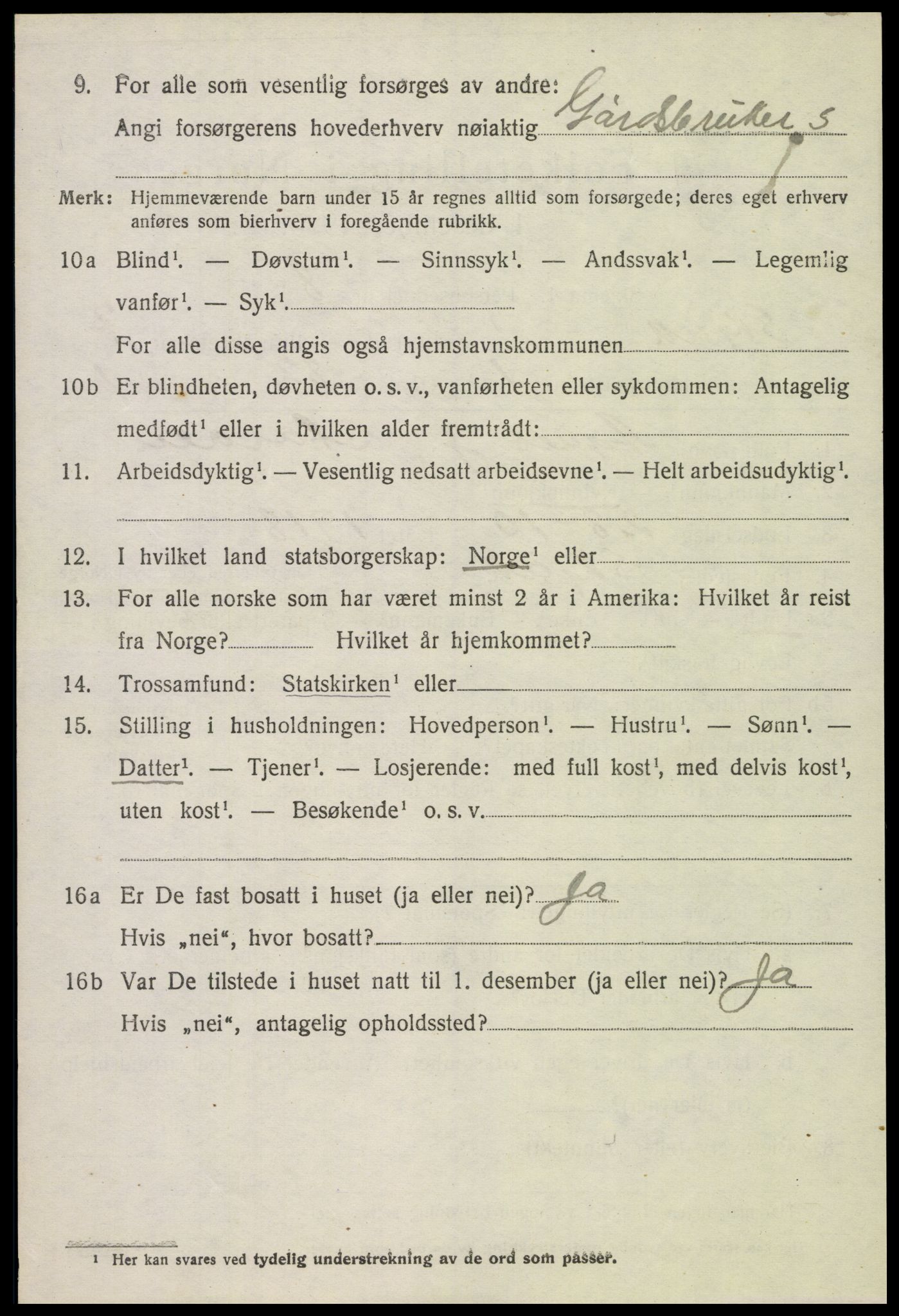 SAH, 1920 census for Skjåk, 1920, p. 3399