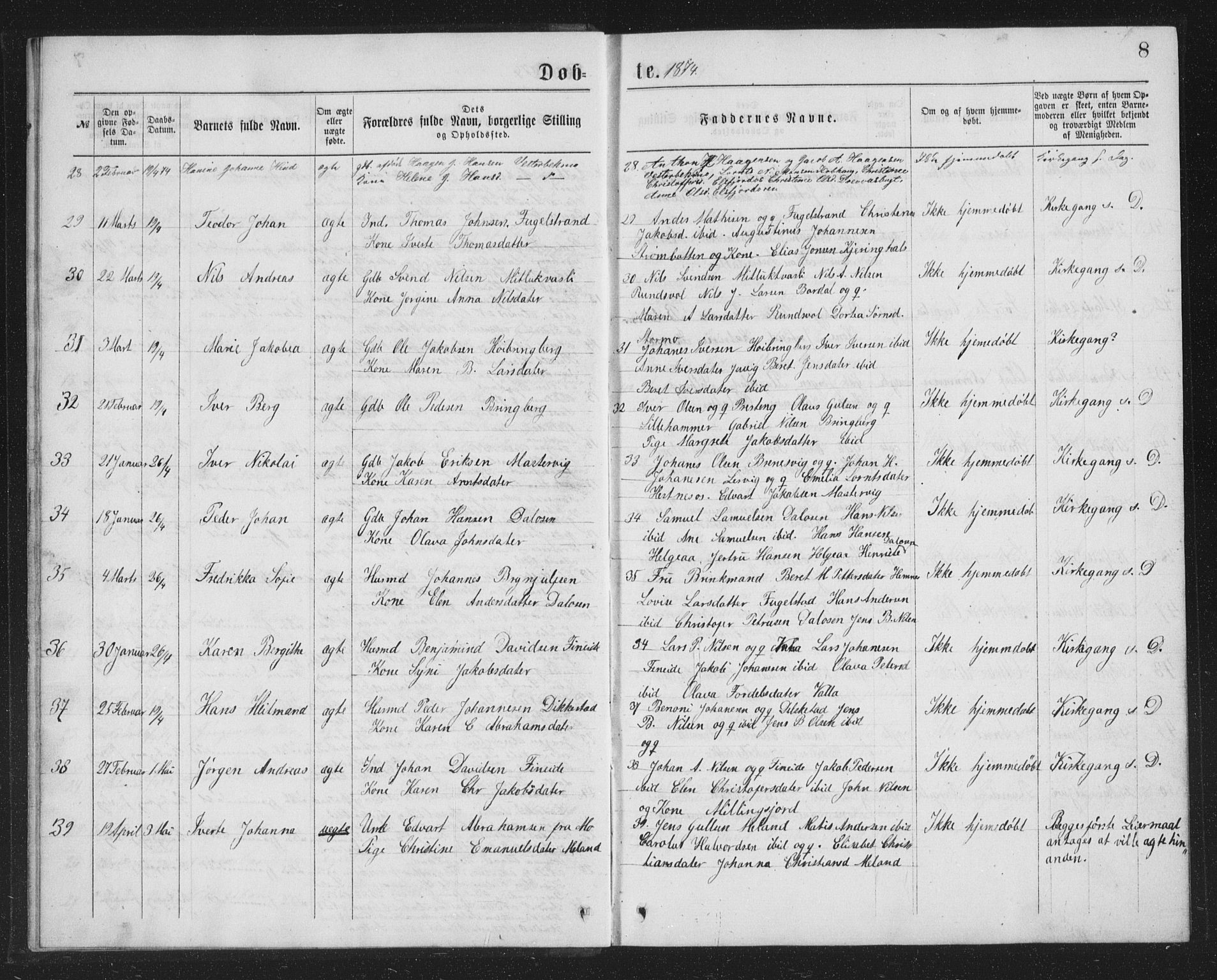 Ministerialprotokoller, klokkerbøker og fødselsregistre - Nordland, AV/SAT-A-1459/825/L0369: Parish register (copy) no. 825C06, 1873-1885, p. 8