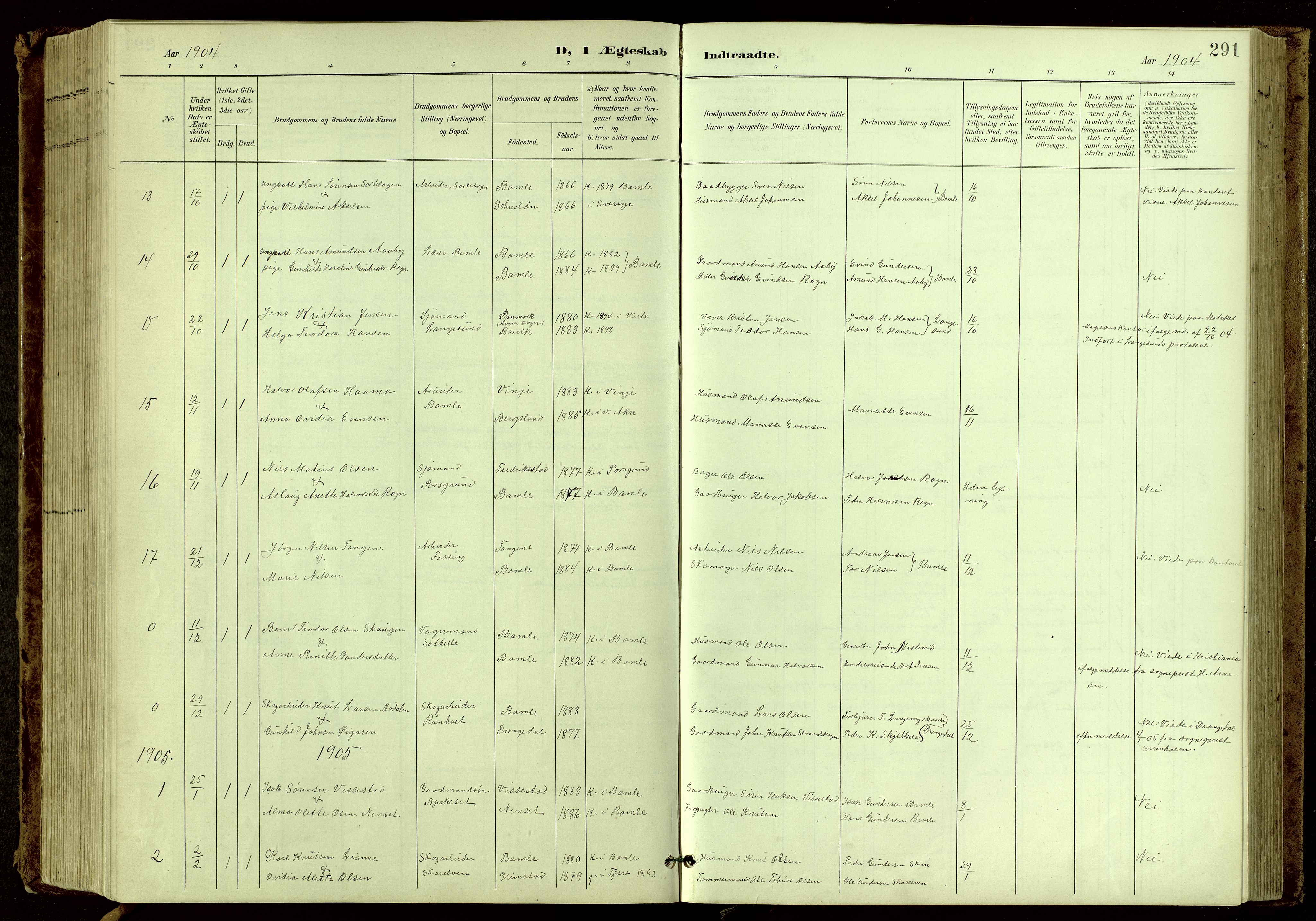Bamble kirkebøker, SAKO/A-253/G/Ga/L0010: Parish register (copy) no. I 10, 1901-1919, p. 291