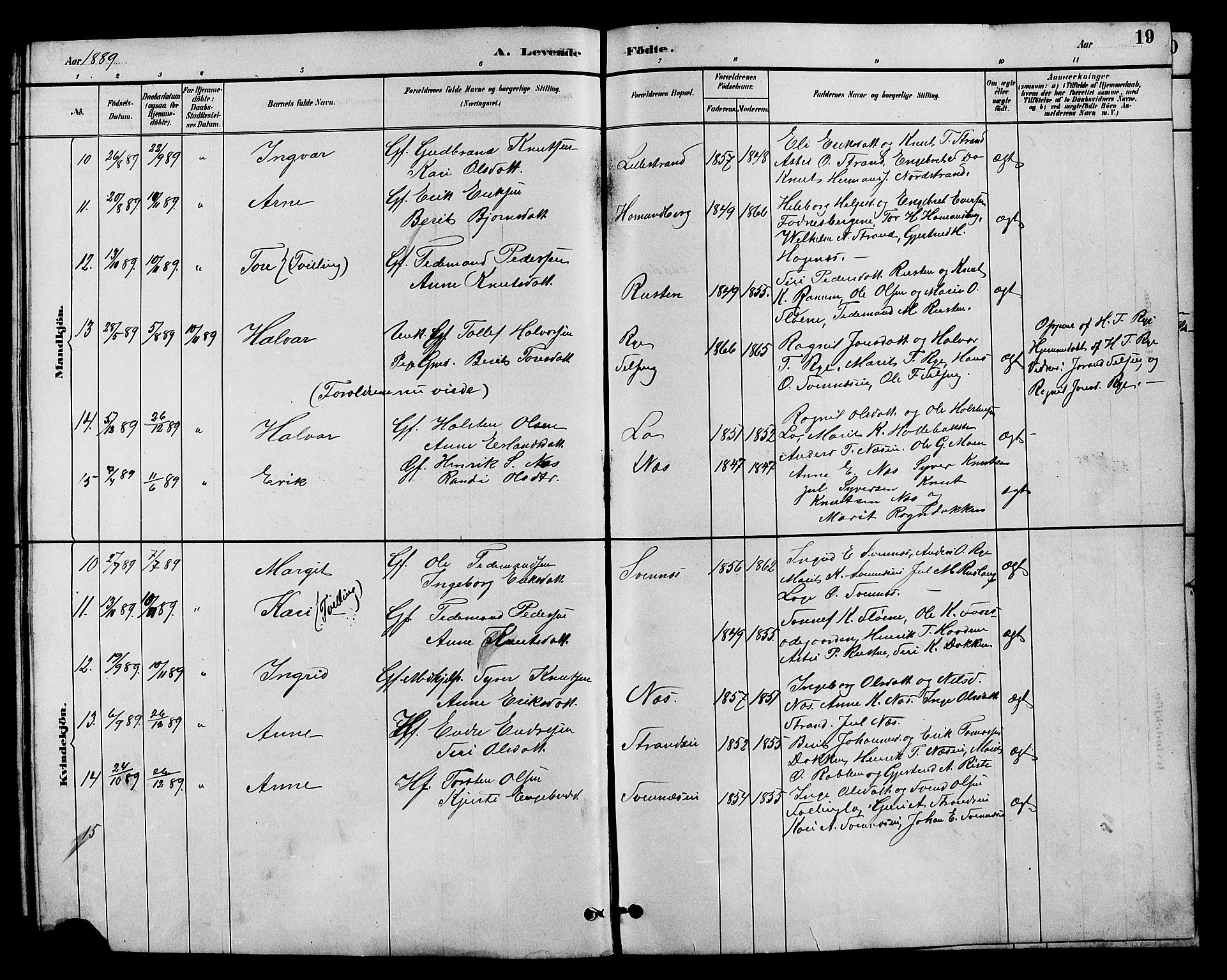 Nord-Aurdal prestekontor, SAH/PREST-132/H/Ha/Hab/L0007: Parish register (copy) no. 7, 1883-1910, p. 19