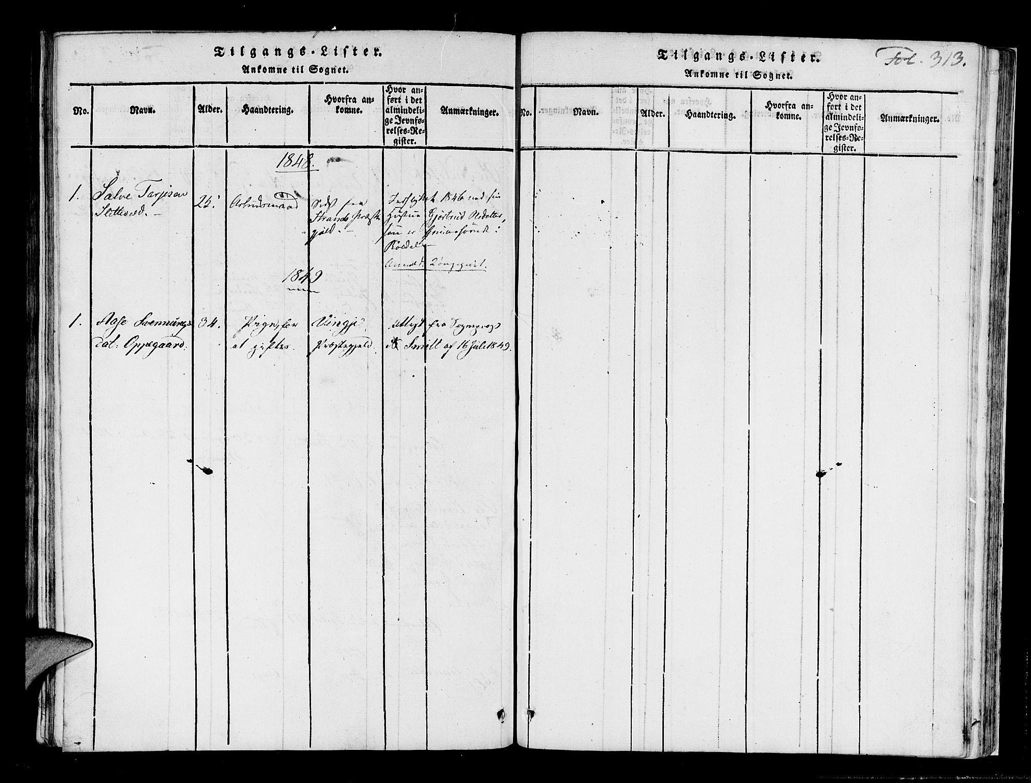 Røldal sokneprestembete, SAB/A-100247: Parish register (official) no. A 2, 1817-1856, p. 313