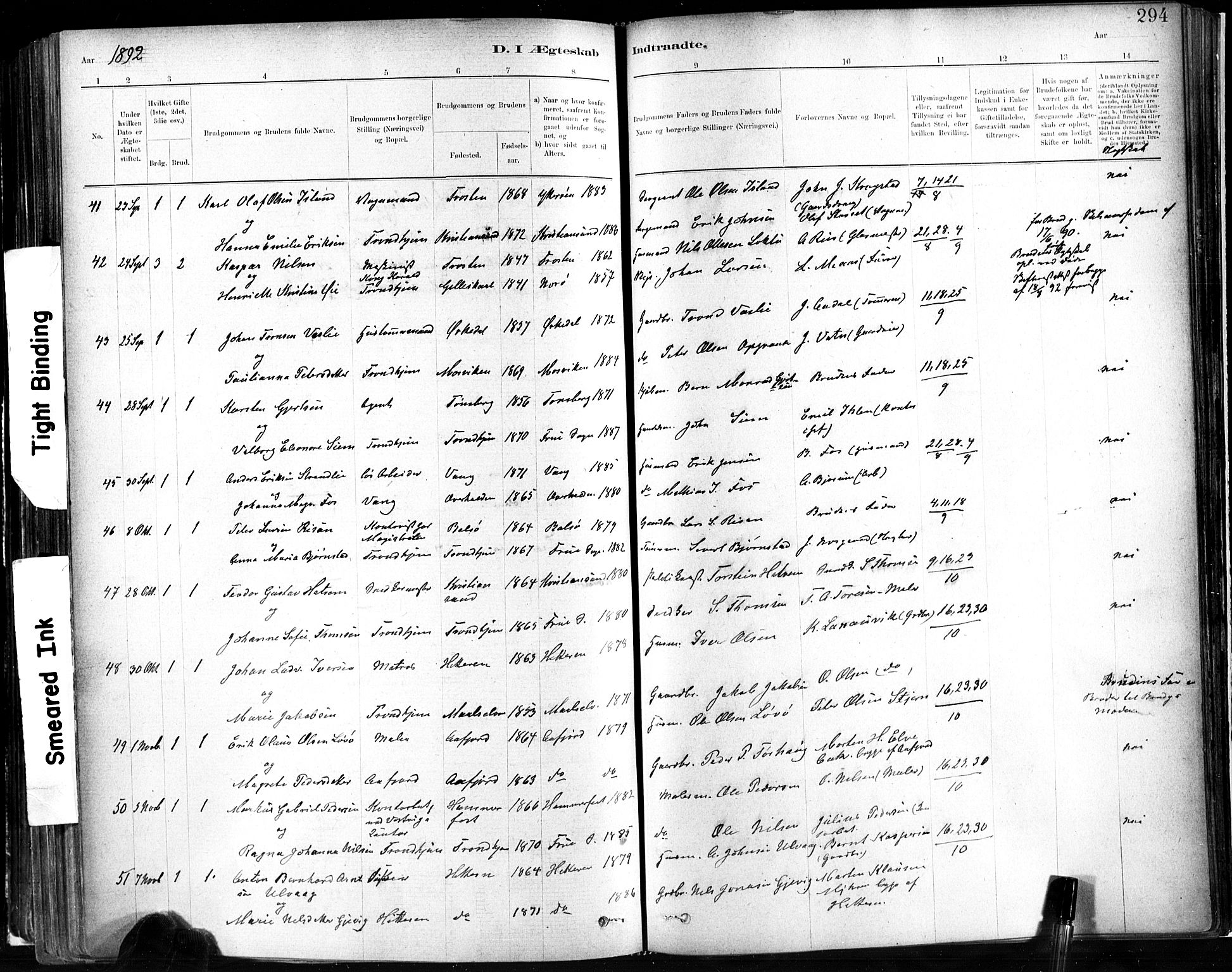 Ministerialprotokoller, klokkerbøker og fødselsregistre - Sør-Trøndelag, AV/SAT-A-1456/602/L0119: Parish register (official) no. 602A17, 1880-1901, p. 294
