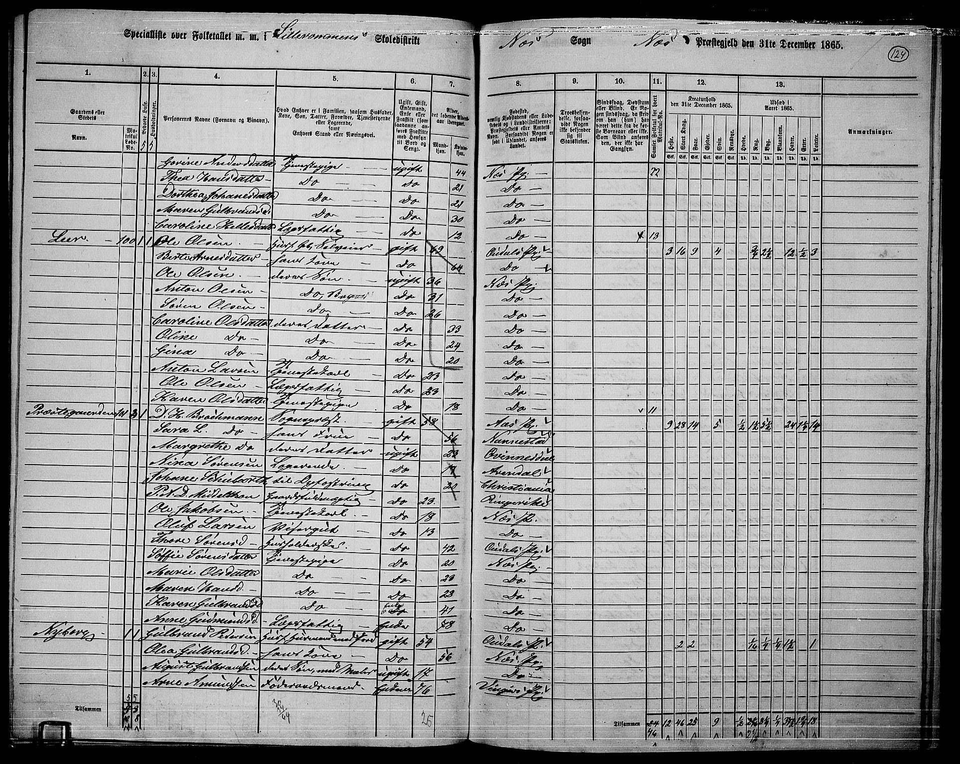 RA, 1865 census for Nes, 1865, p. 111