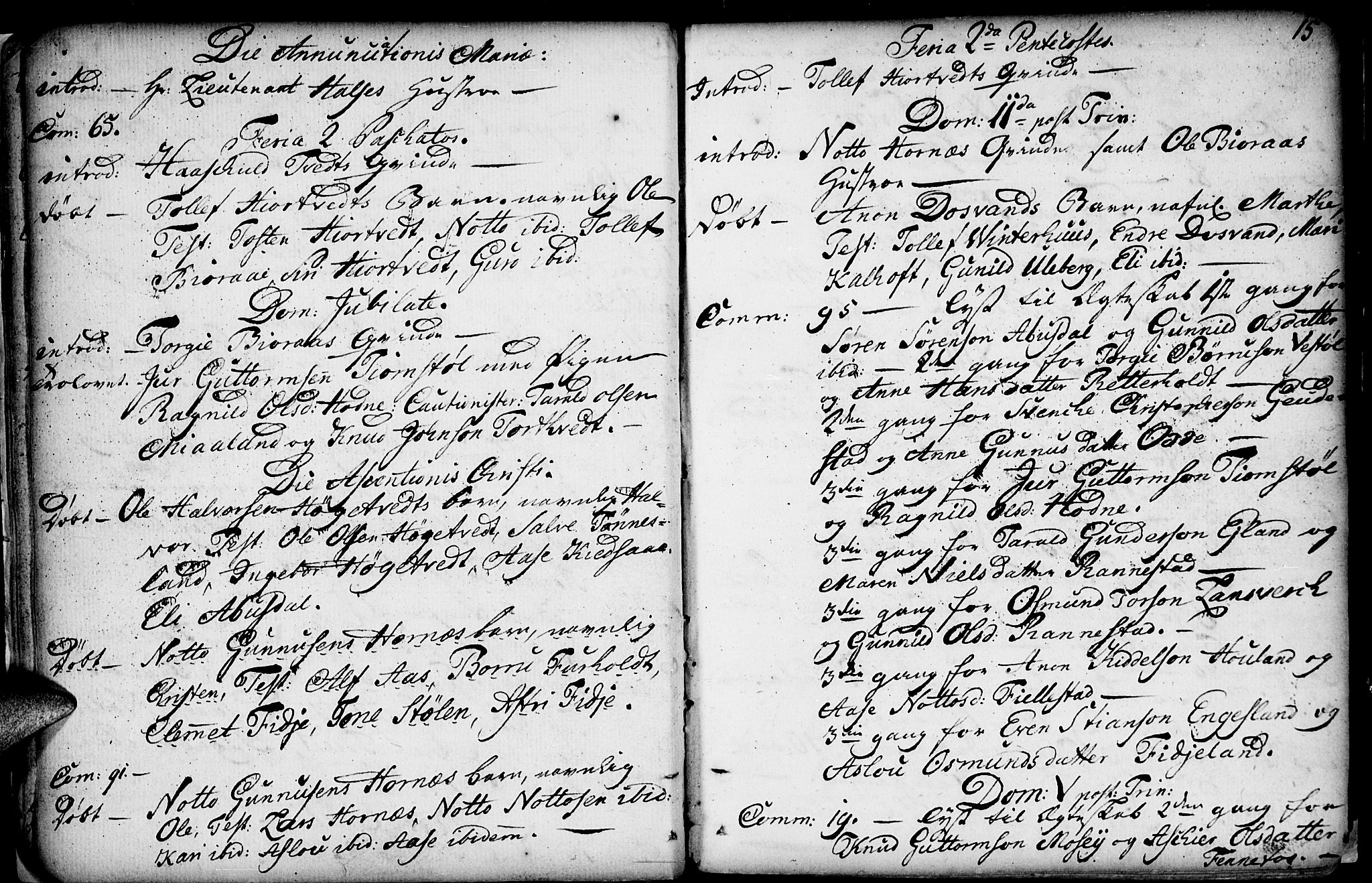 Evje sokneprestkontor, SAK/1111-0008/F/Fa/Fab/L0002: Parish register (official) no. A 2, 1765-1816, p. 15