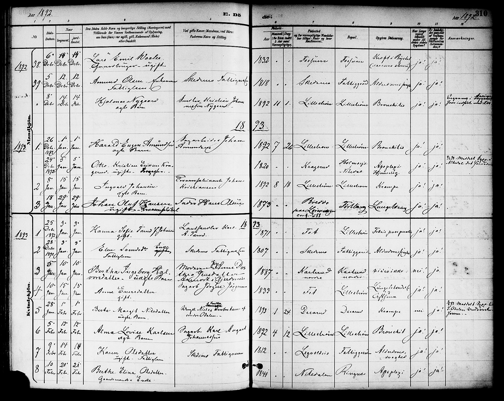Skedsmo prestekontor Kirkebøker, SAO/A-10033a/F/Fa/L0014: Parish register (official) no. I 14, 1892-1901, p. 310