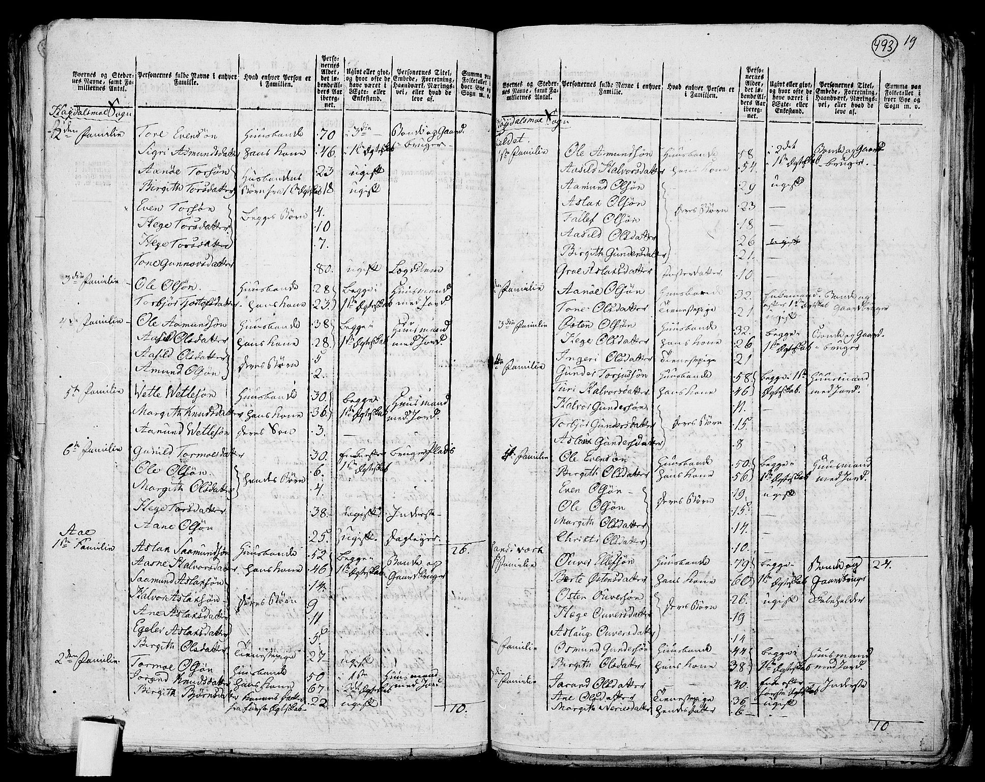 RA, 1801 census for 0833P Lårdal, 1801, p. 492b-493a