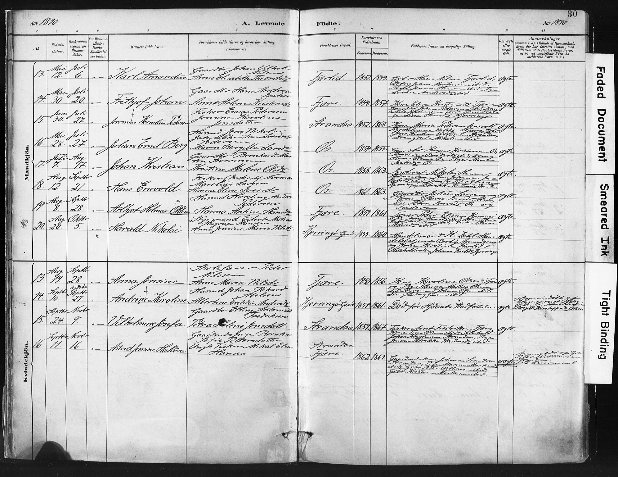 Ministerialprotokoller, klokkerbøker og fødselsregistre - Nordland, AV/SAT-A-1459/803/L0071: Parish register (official) no. 803A01, 1881-1897, p. 30