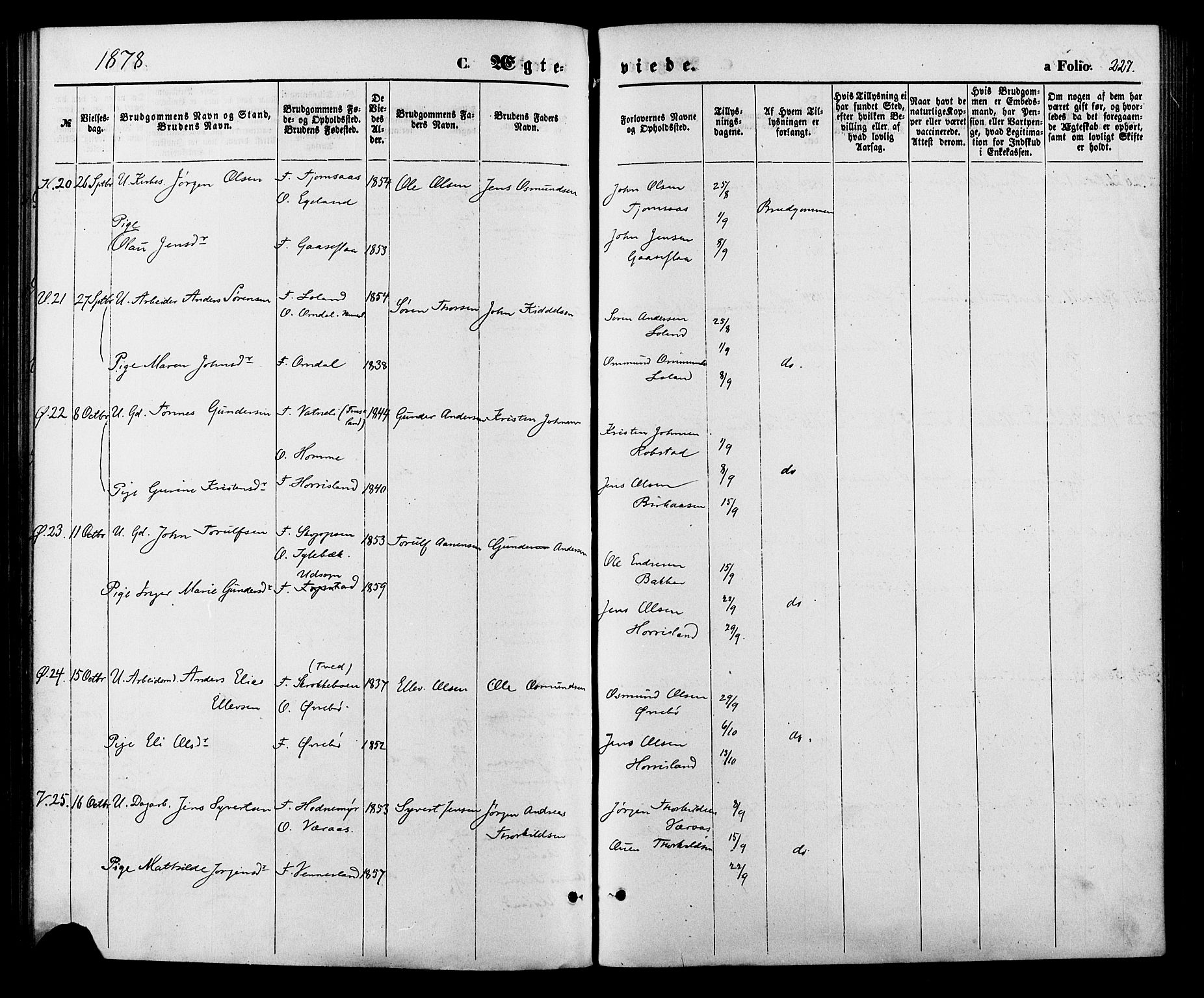 Vennesla sokneprestkontor, SAK/1111-0045/Fa/Fac/L0008: Parish register (official) no. A 8, 1874-1883, p. 227
