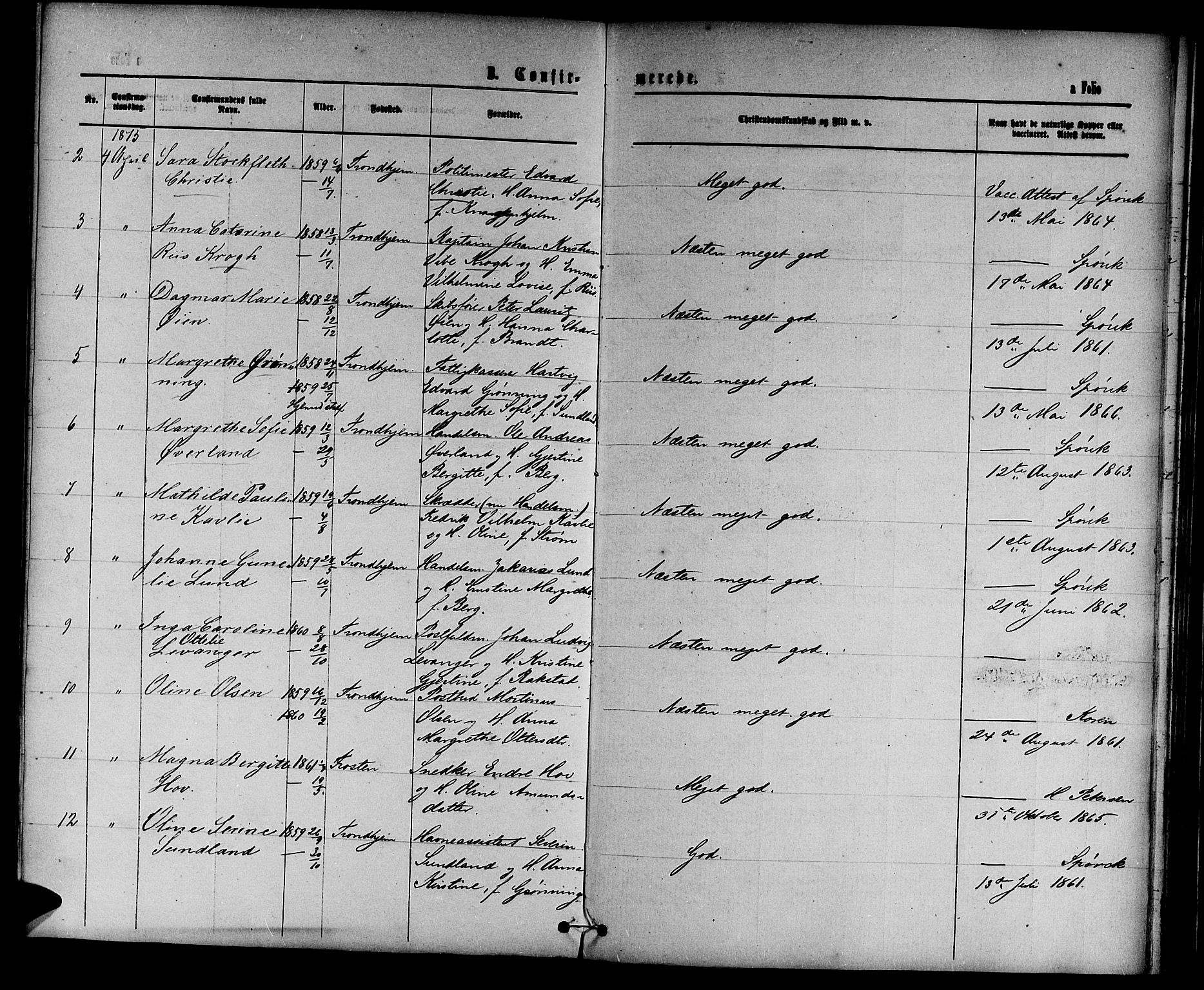 Ministerialprotokoller, klokkerbøker og fødselsregistre - Sør-Trøndelag, AV/SAT-A-1456/601/L0087: Parish register (copy) no. 601C05, 1864-1881, p. 209f