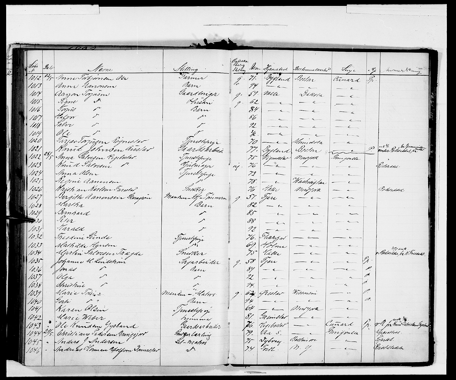 Kristiansand politikammer, AV/SAK-1243-0004/K/Kb/L0241: Emigrantprotokoll, 1893-1896, p. 191