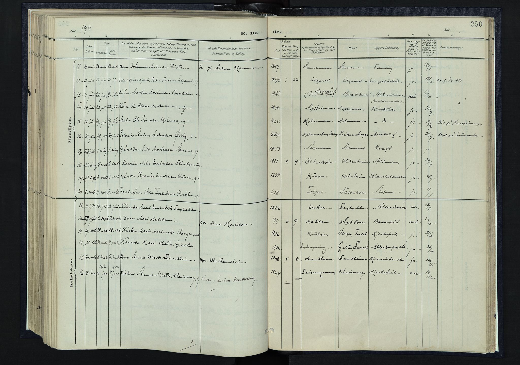 Tynset prestekontor, AV/SAH-PREST-058/H/Ha/Haa/L0025: Parish register (official) no. 25, 1900-1914, p. 250