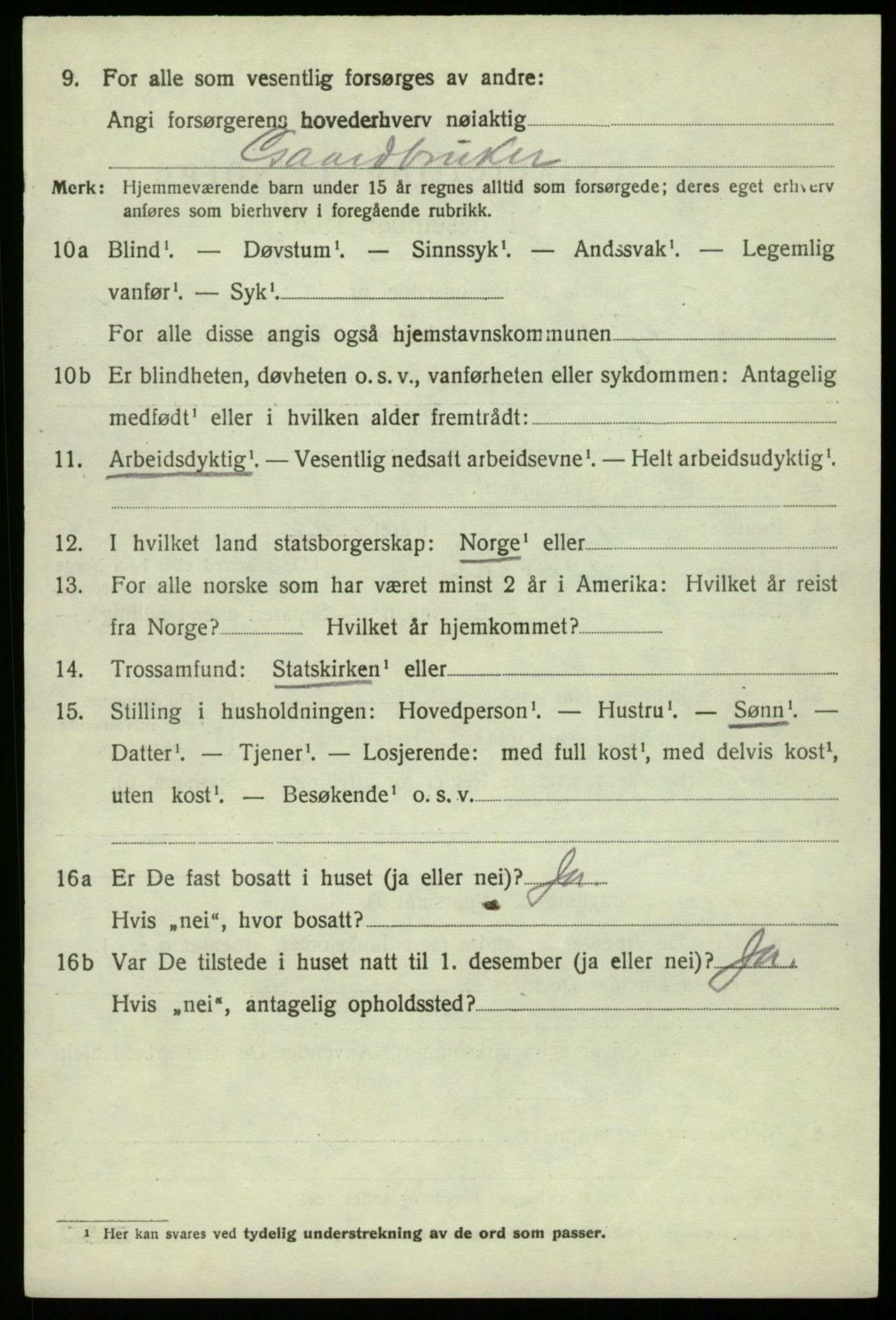 SAB, 1920 census for Eidfjord, 1920, p. 1003