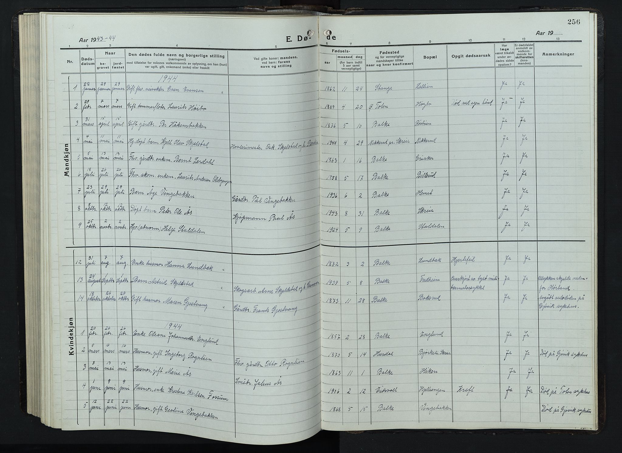 Balke prestekontor, AV/SAH-PREST-106/H/Ha/Hab/L0001: Parish register (copy) no. 1, 1920-1955, p. 256