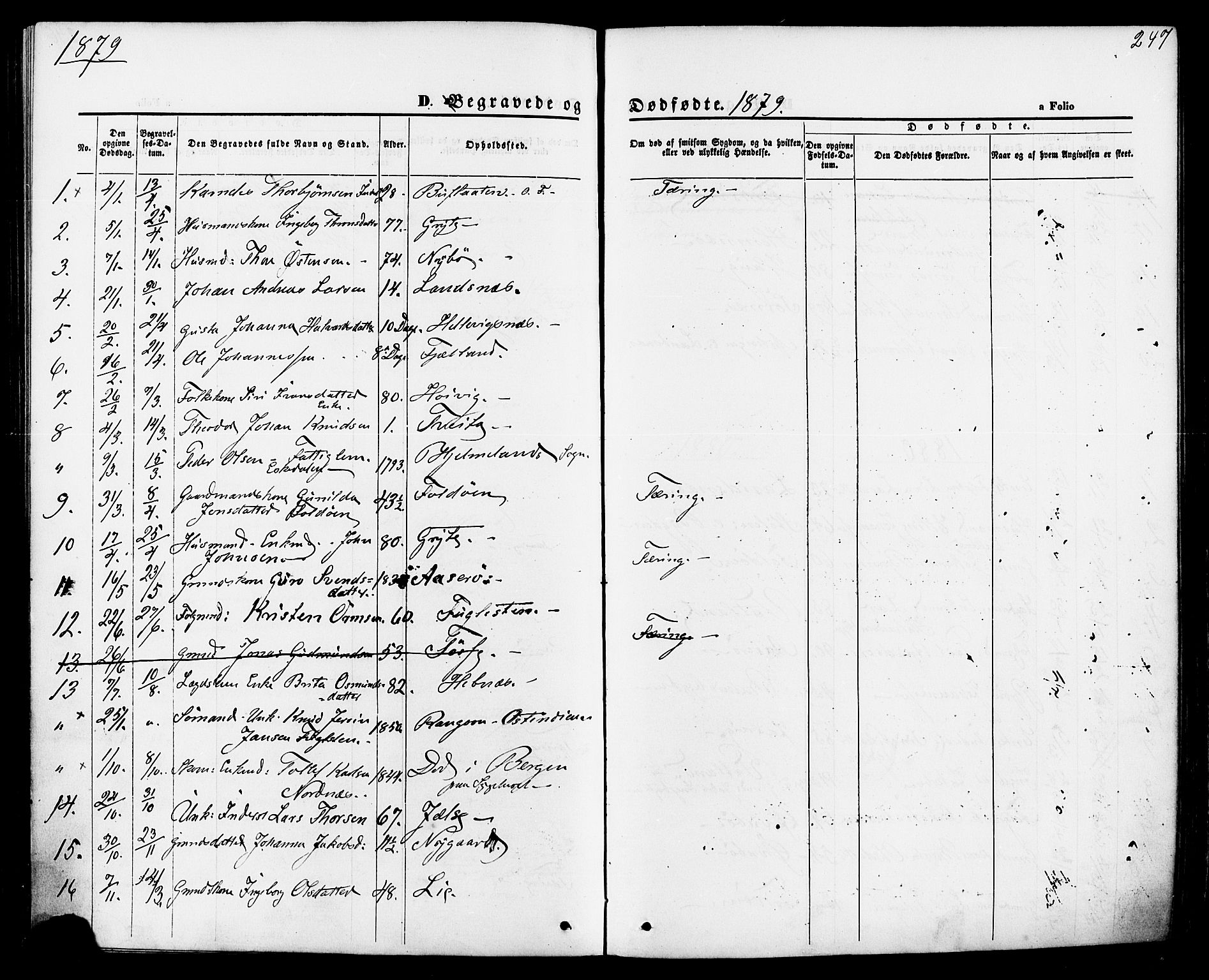 Jelsa sokneprestkontor, SAST/A-101842/01/IV: Parish register (official) no. A 8, 1867-1883, p. 247