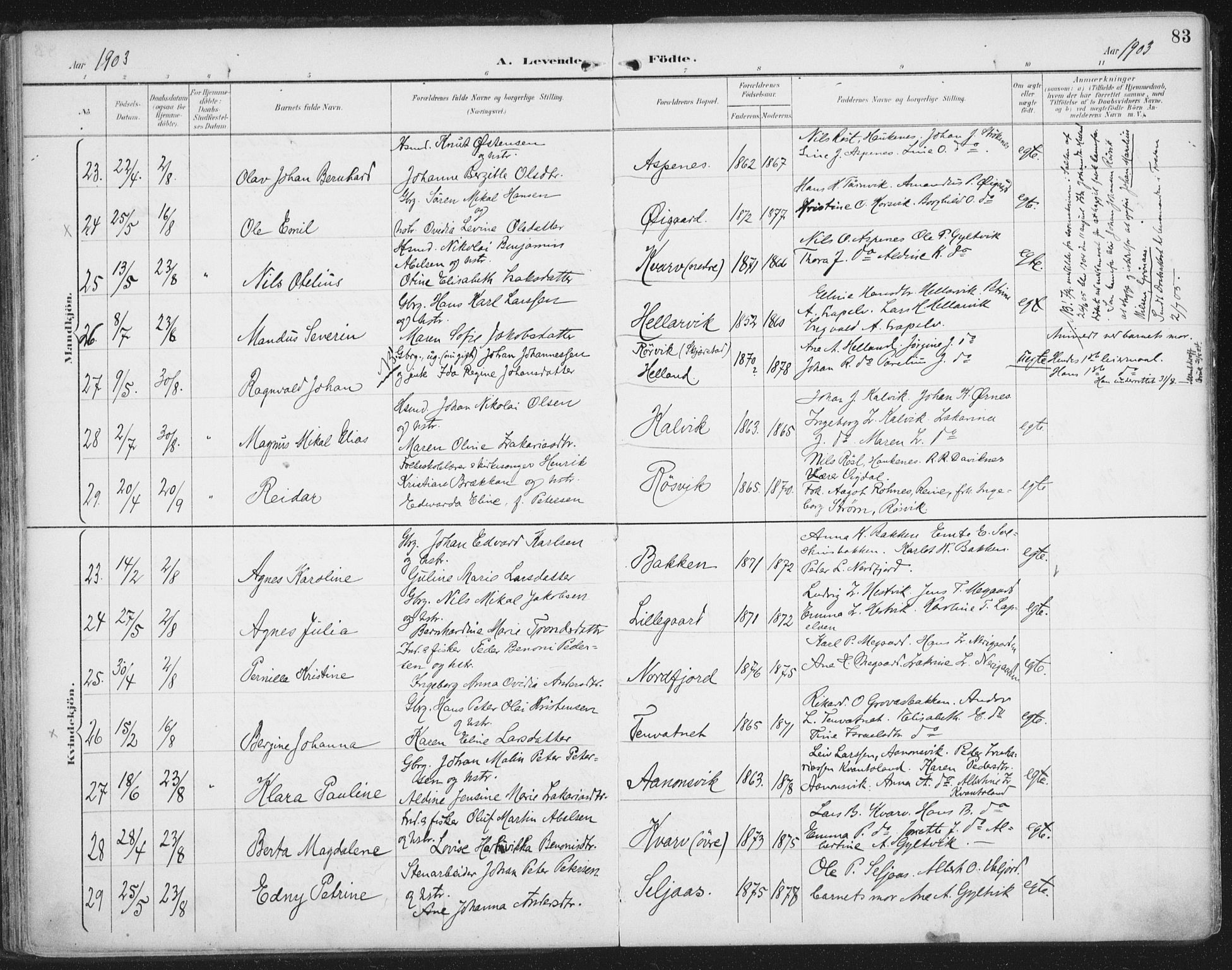 Ministerialprotokoller, klokkerbøker og fødselsregistre - Nordland, SAT/A-1459/854/L0779: Parish register (official) no. 854A02, 1892-1909, p. 83