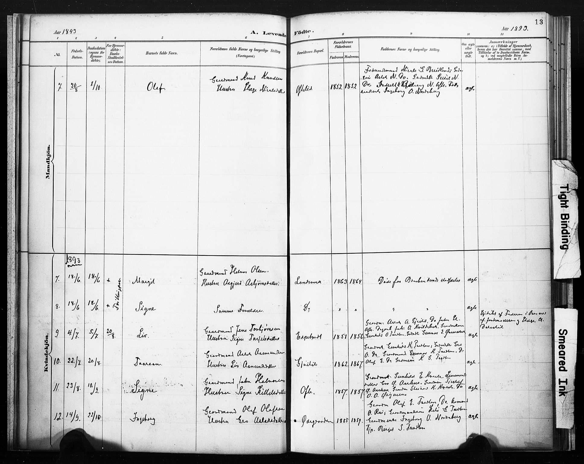 Lårdal kirkebøker, SAKO/A-284/F/Fc/L0002: Parish register (official) no. III 2, 1887-1906, p. 13