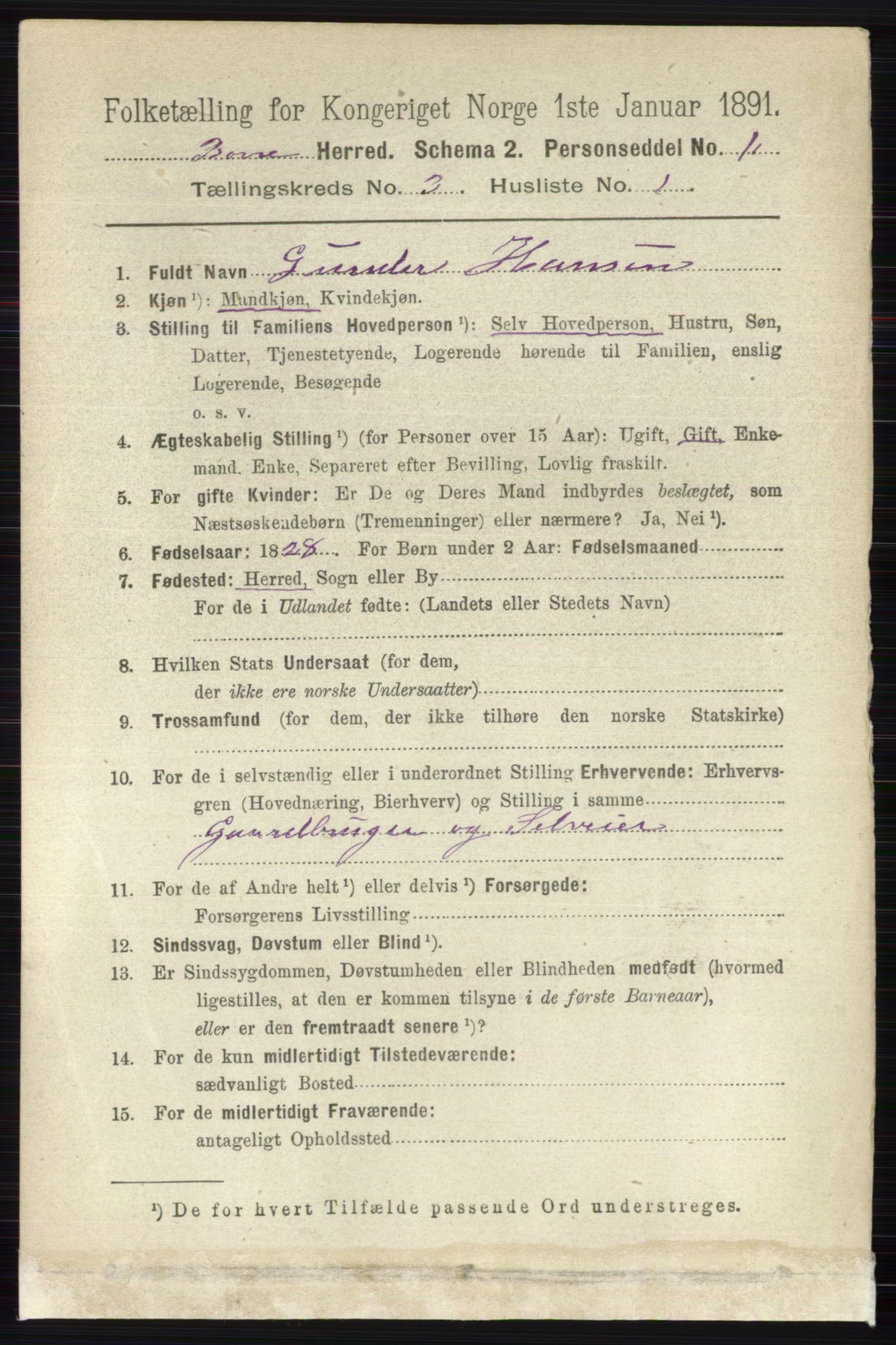 RA, 1891 census for 0717 Borre, 1891, p. 1215