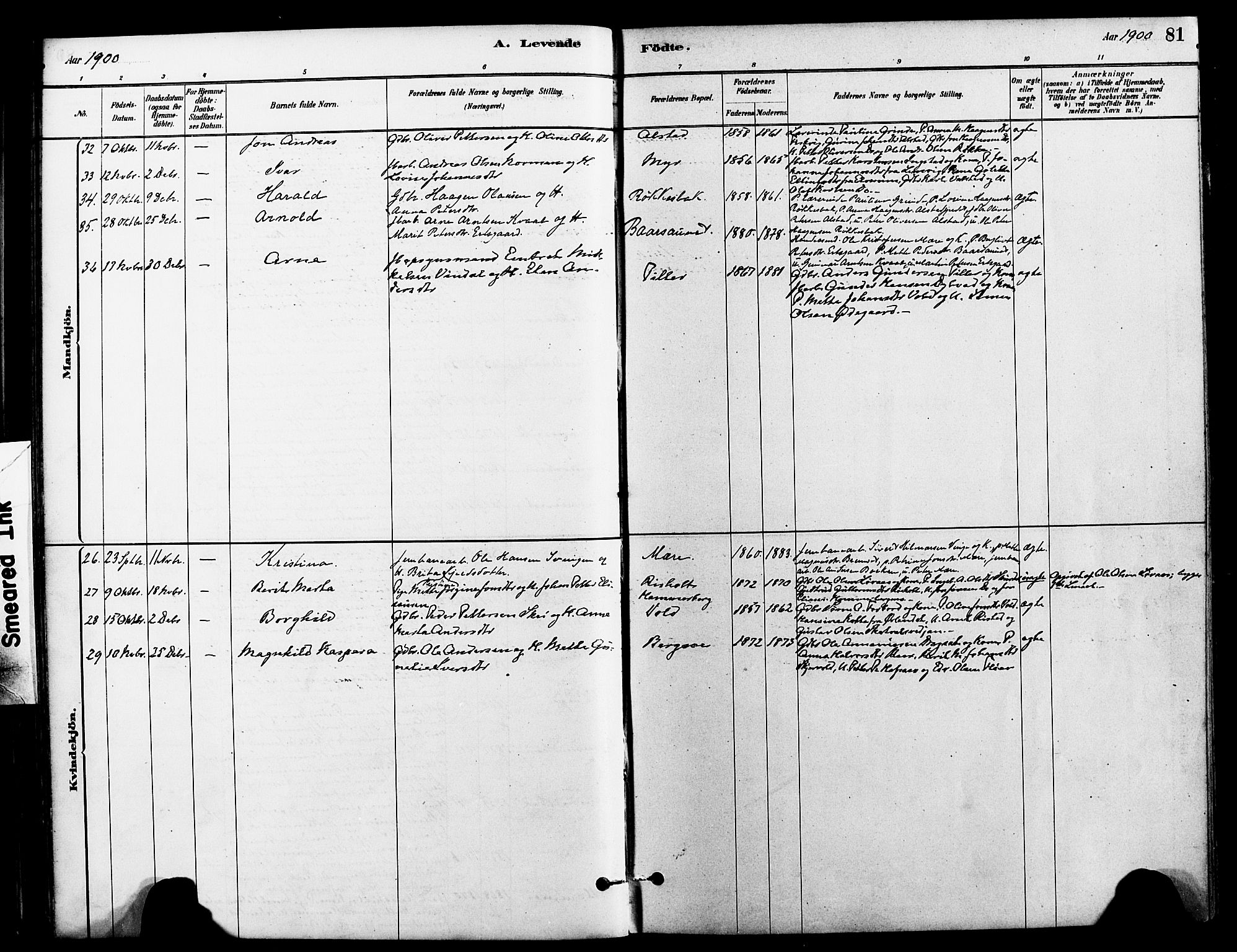 Ministerialprotokoller, klokkerbøker og fødselsregistre - Nord-Trøndelag, AV/SAT-A-1458/712/L0100: Parish register (official) no. 712A01, 1880-1900, p. 81