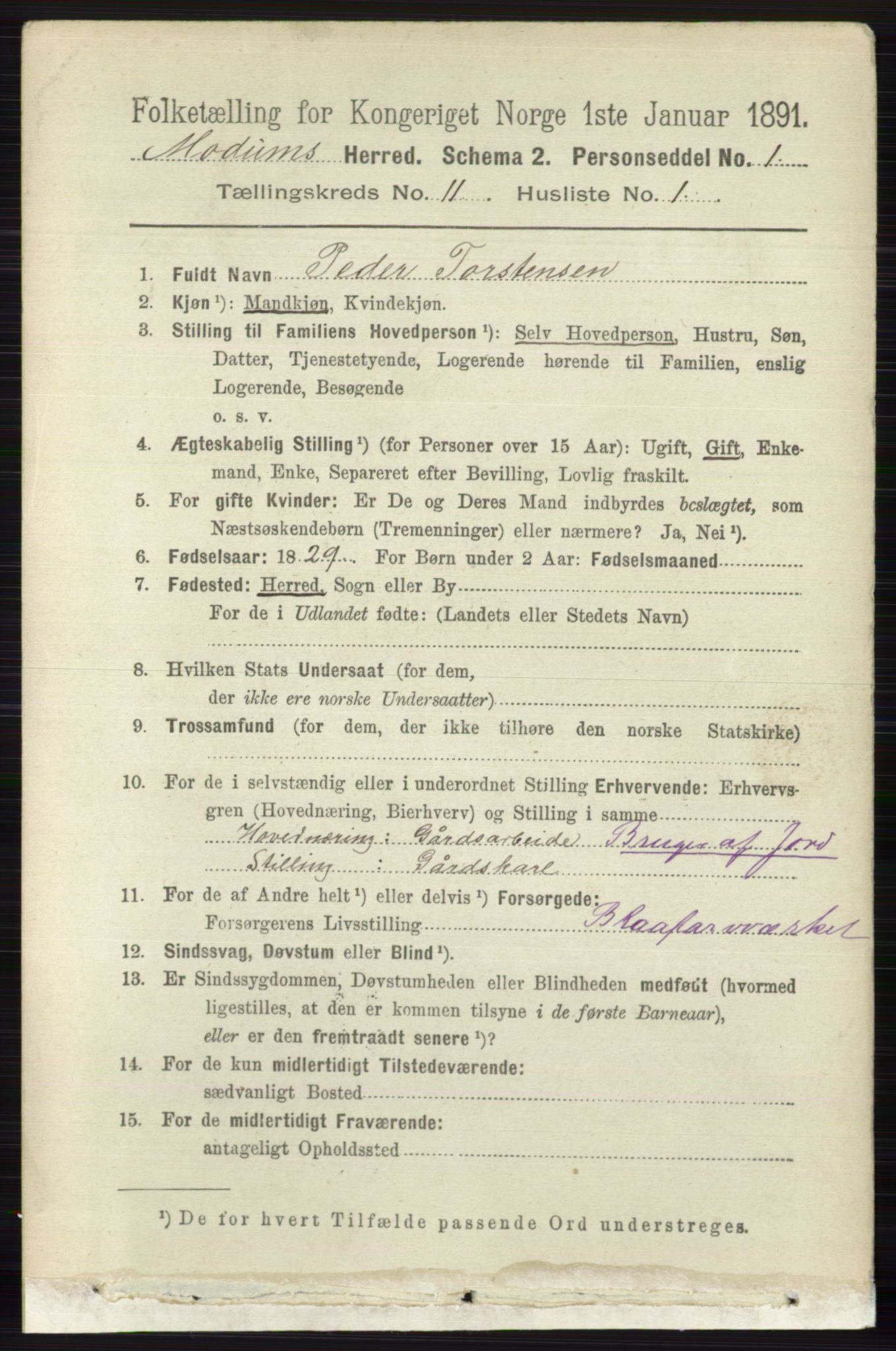 RA, 1891 census for 0623 Modum, 1891, p. 4110