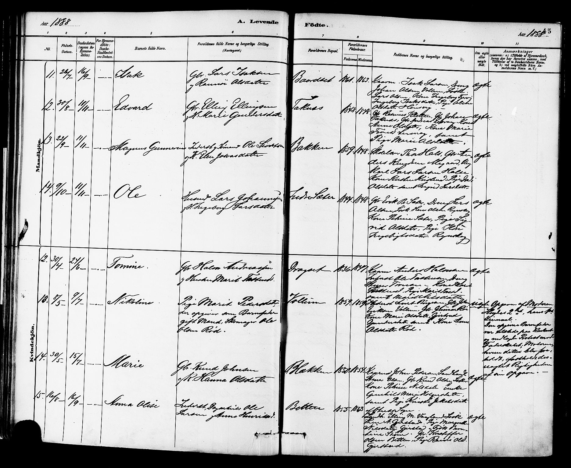 Ministerialprotokoller, klokkerbøker og fødselsregistre - Møre og Romsdal, AV/SAT-A-1454/576/L0885: Parish register (official) no. 576A03, 1880-1898, p. 45