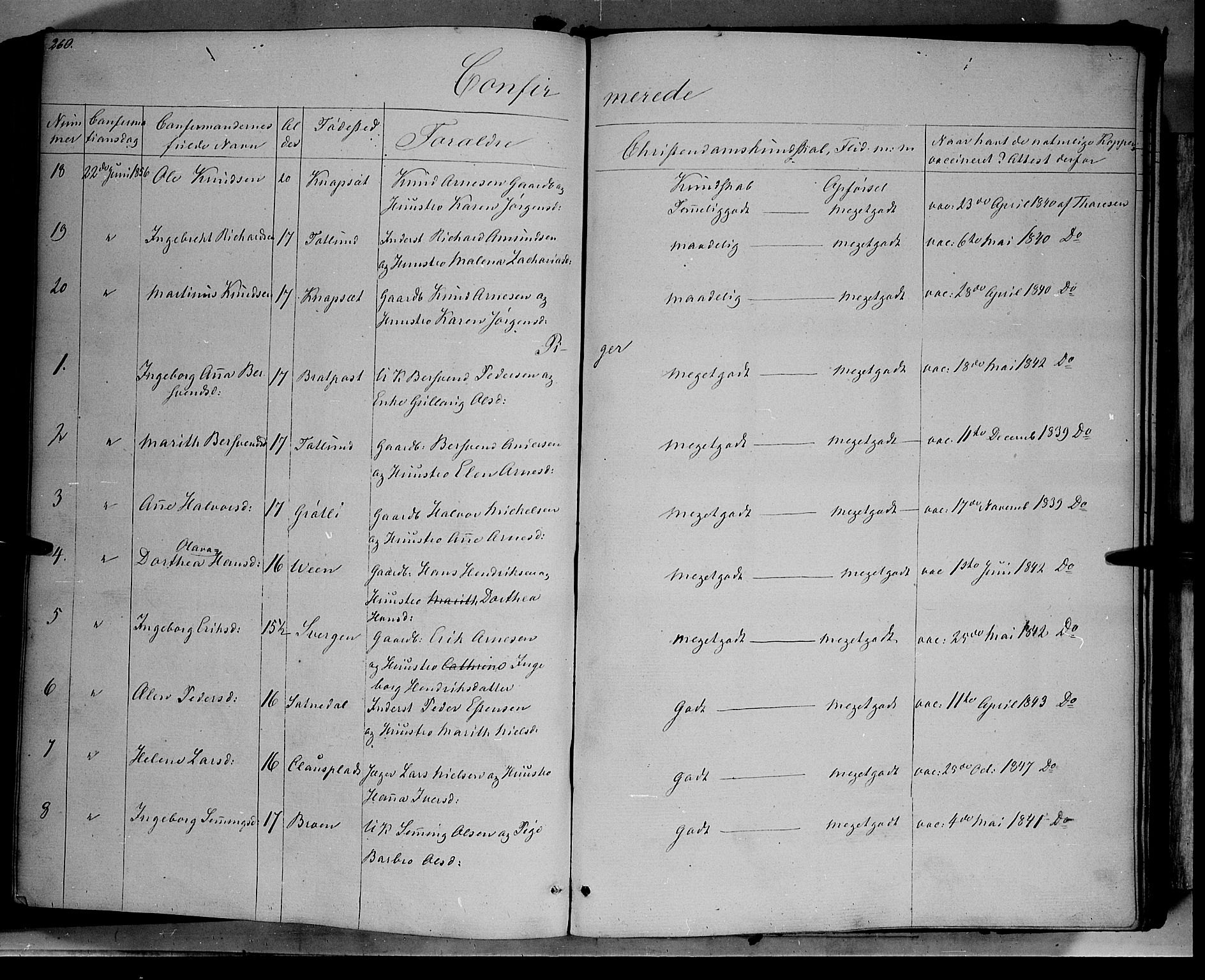 Kvikne prestekontor, SAH/PREST-064/H/Ha/Haa/L0005: Parish register (official) no. 5, 1841-1862, p. 260